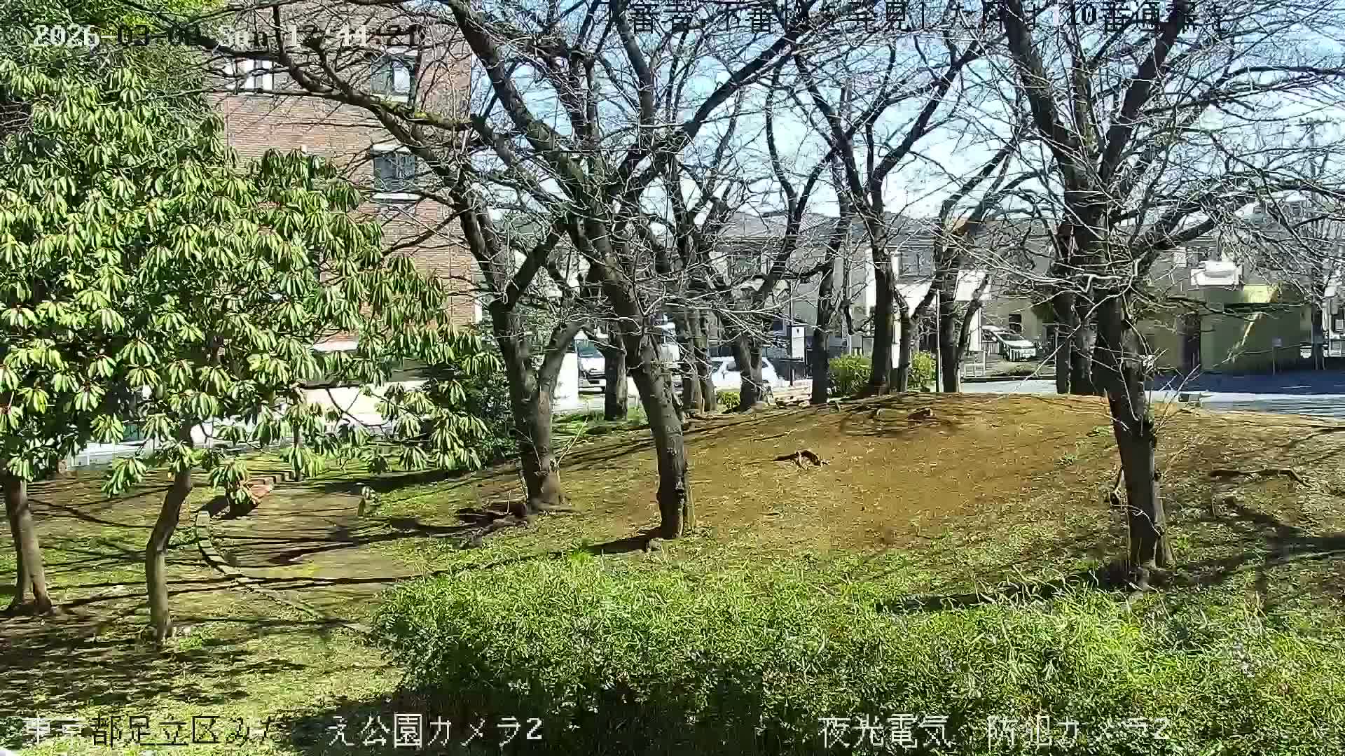 Tokyo, Yazaike, Adachi Kuritsu Midamae Park towards East ( 東京・谷在家・足立区立御大前公園東方向 ) Live Cam - 1 Chome, Yazaike, Adachi-ku, Tokyo, Kanto, Honshu, Japan