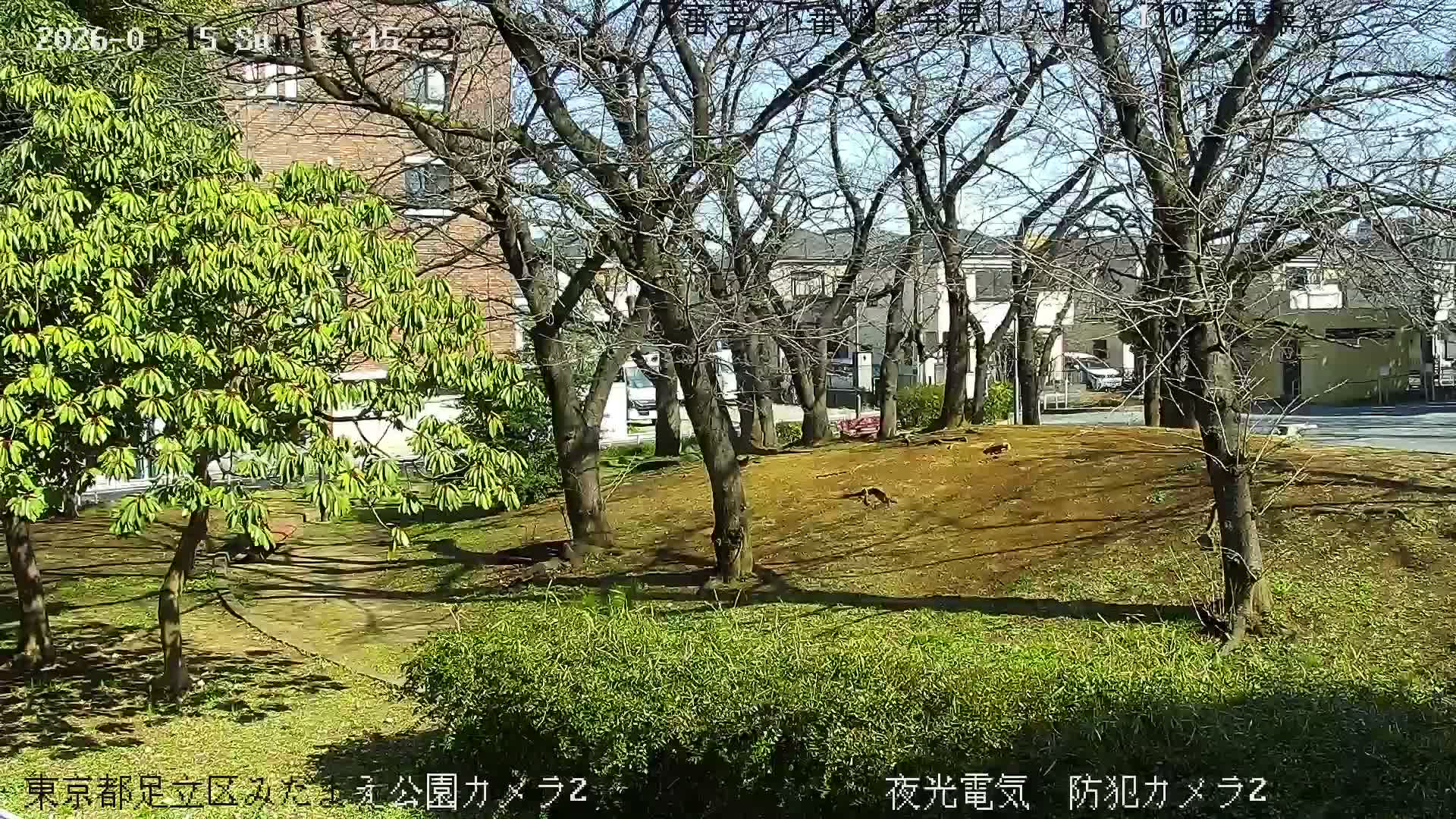 Tokyo, Yazaike, Adachi Kuritsu Midamae Park towards East ( 東京・谷在家・足立区立御大前公園東方向 ) Live Cam - 1 Chome, Yazaike, Adachi-ku, Tokyo, Kanto, Honshu, Japan
