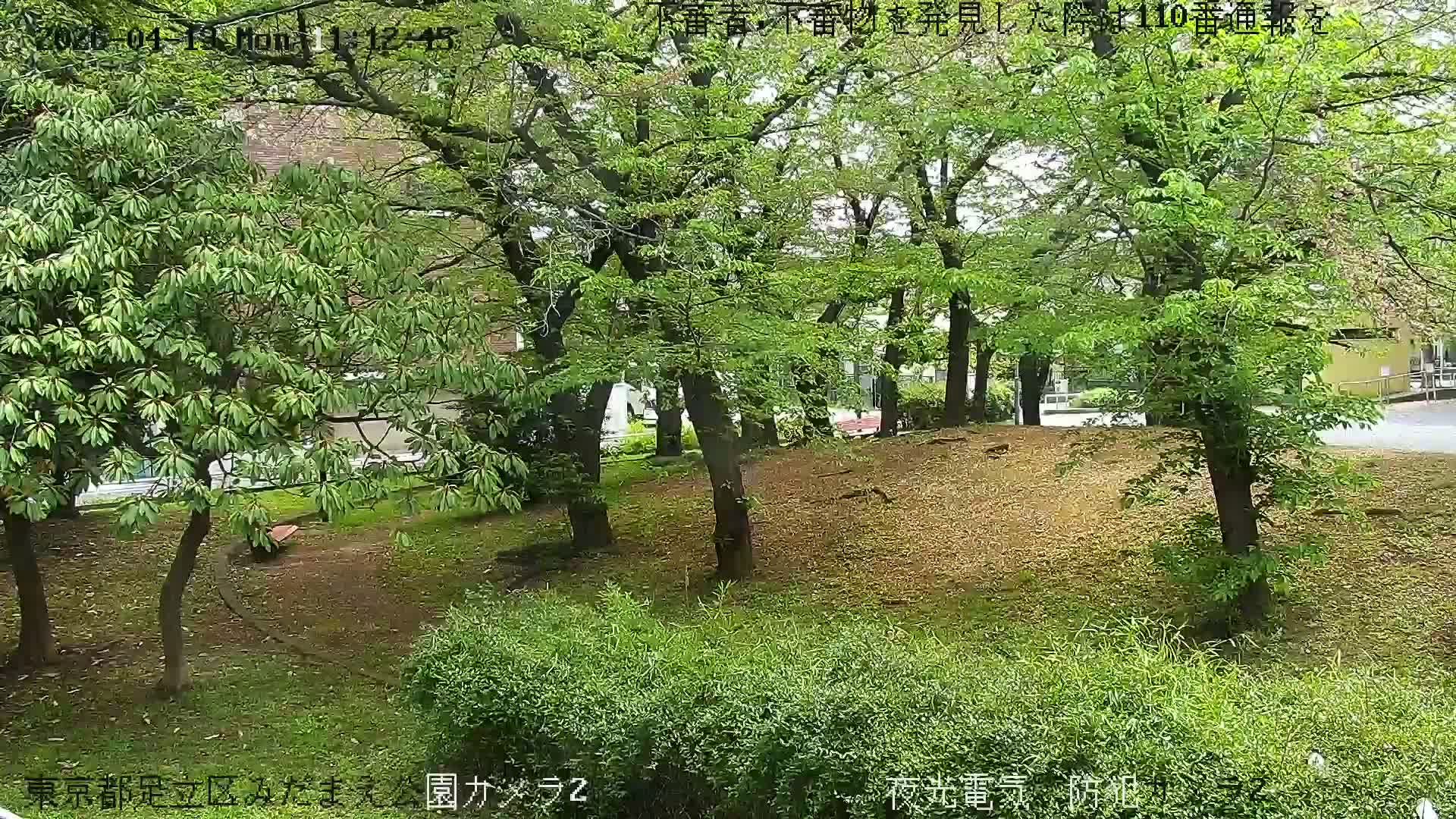 Tokyo, Yazaike, Adachi Kuritsu Midamae Park towards East ( 東京・谷在家・足立区立御大前公園東方向 ) Live Cam - 1 Chome, Yazaike, Adachi-ku, Tokyo, Kanto, Honshu, Japan