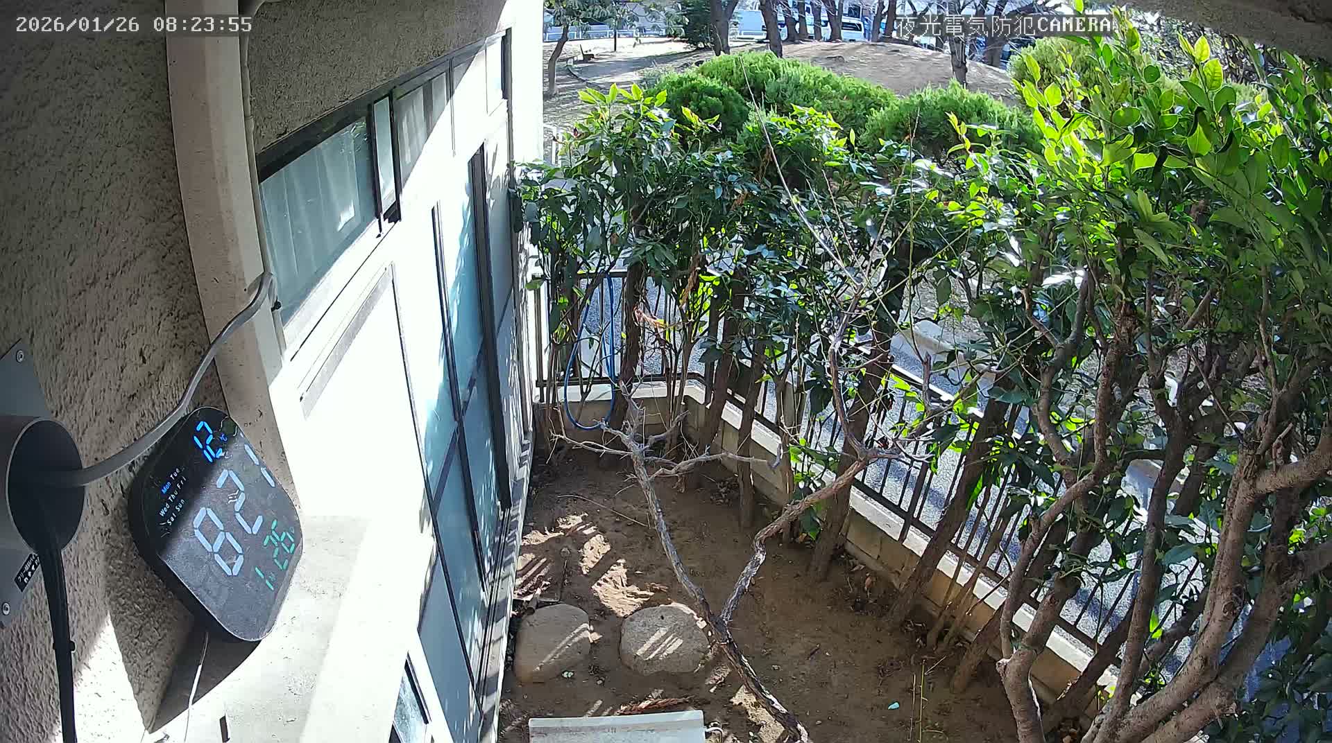 The image displays a sunny outdoor scene looking down into a compact garden area with dirt, rocks, and lush green bushes behind a black metal fence, situated next to a building wall featuring windows and an attached digital display.