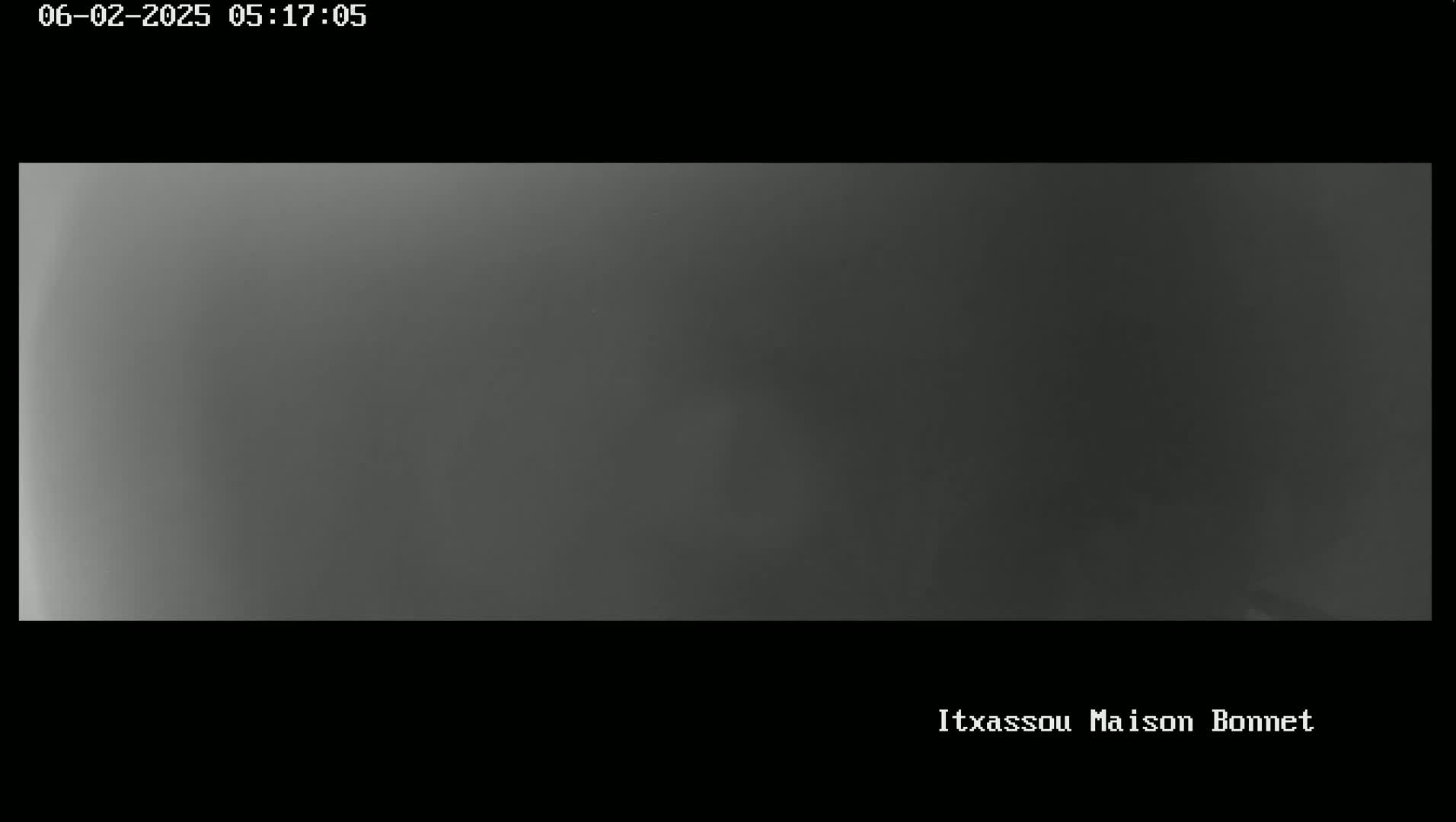 A very dark gray, foggy scene is shown.