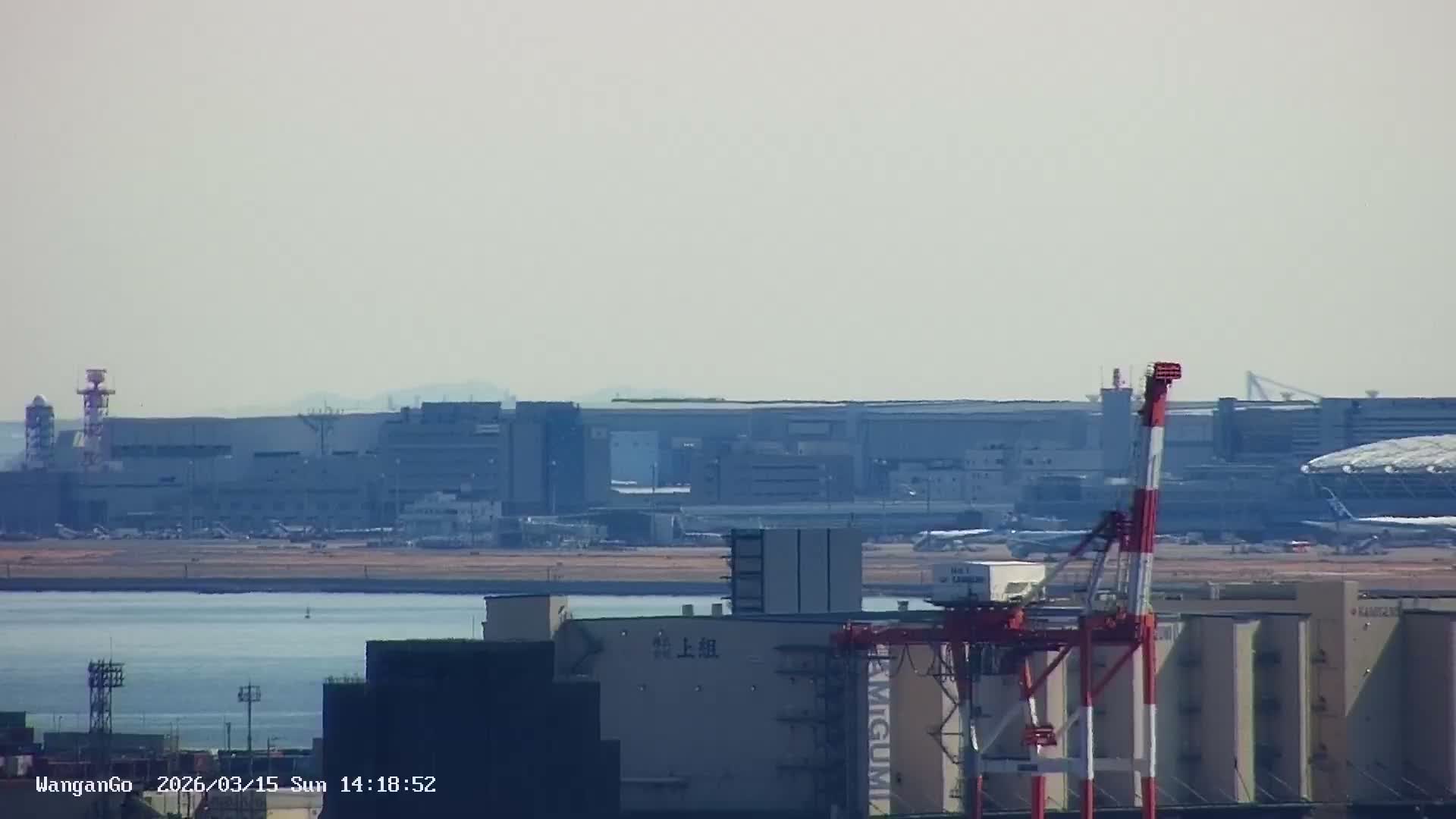 Tokyo,  Surround from Chuo-ku ,Disneyland ,Bridges, Airportes, Tokyo Bay, Industriy Areas, Seaports, Sycrapers   ( 東京周辺、ディズニーランド、橋、空港、東京湾、工業地帯、港、シクラメン、周辺 )  Surround PTZ  Live Cam - 1 Chome, Ariake, Koto-ku, Tokyo, Kantō, Honshu, Japan