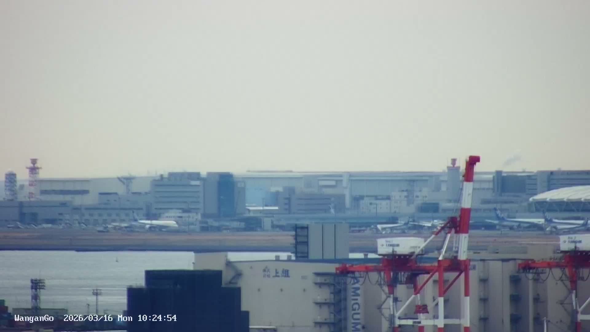 Tokyo,  Surround from Chuo-ku ,Disneyland ,Bridges, Airportes, Tokyo Bay, Industriy Areas, Seaports, Sycrapers   ( 東京周辺、ディズニーランド、橋、空港、東京湾、工業地帯、港、シクラメン、周辺 )  Surround PTZ  Live Cam - 1 Chome, Ariake, Koto-ku, Tokyo, Kantō, Honshu, Japan