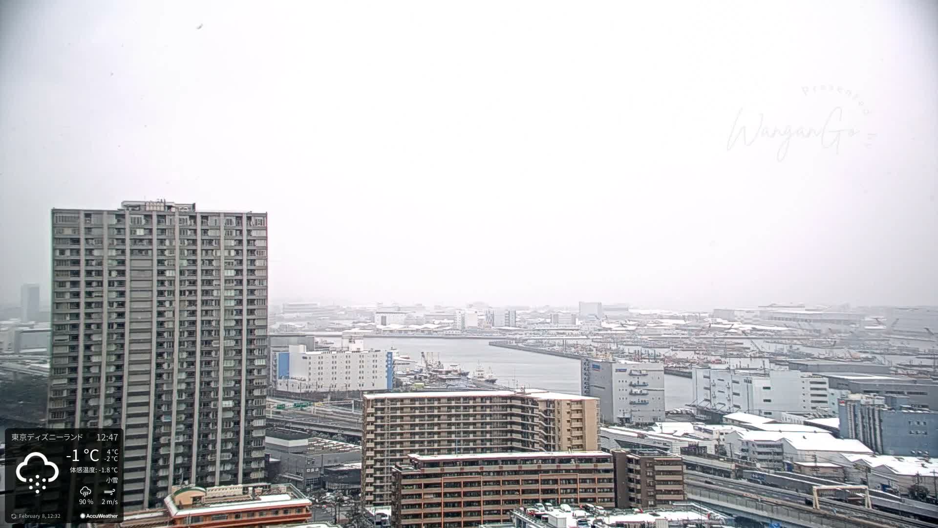 Tokyo, Tokyo Metropolitan Expressway Route B &  Koto &  Edogawa Discrict Skyline from Ariake ( 有明から見た東京、首都高B線、江東・江戸川地区のスカイライン ) Live Cam  - 1 Chome, Ariake, Koto-ku, Tokyo, Kantō, Honshu, Japan