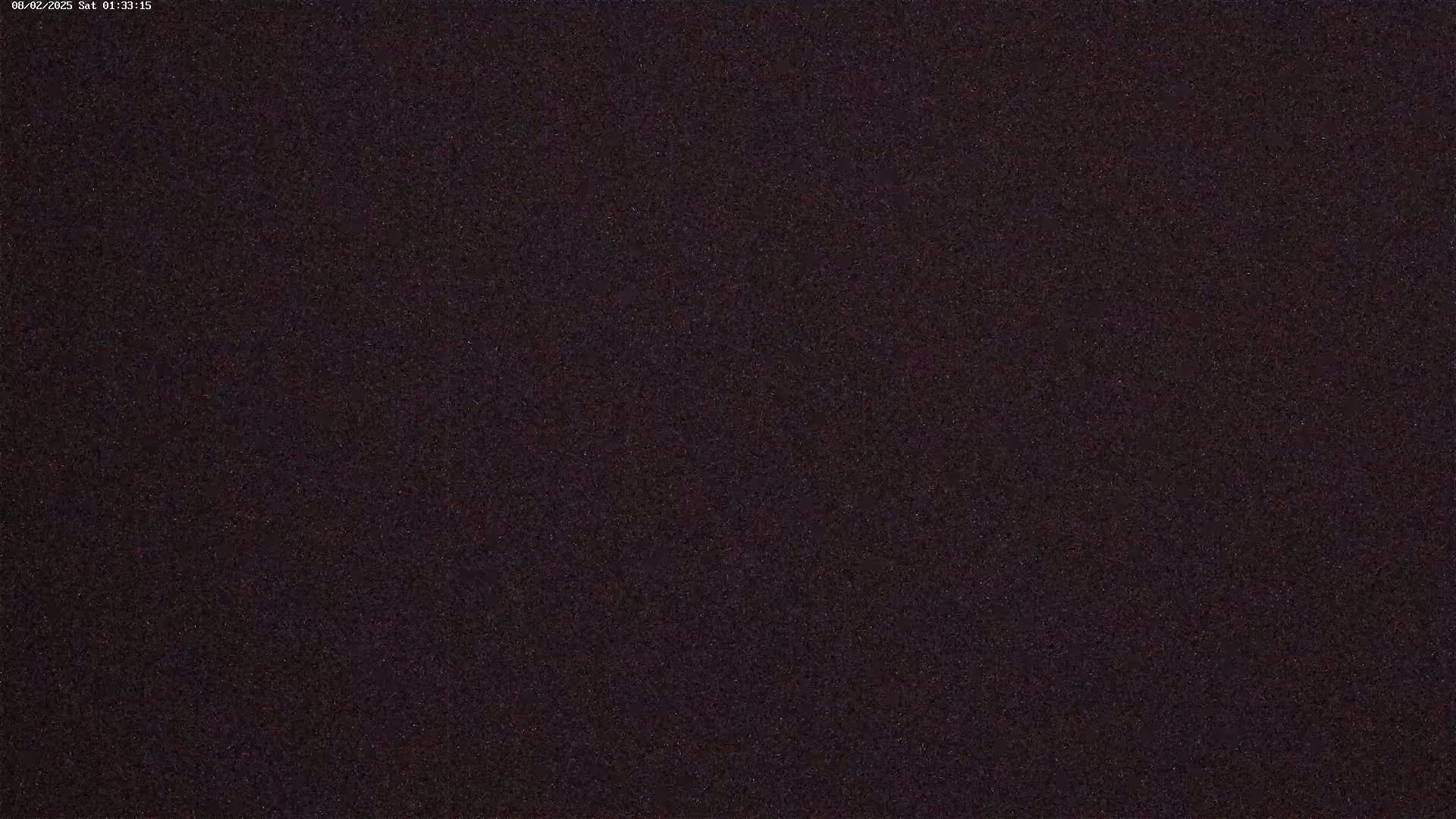 A dark, grainy image shows a mostly uniform dark purplish-brown texture.