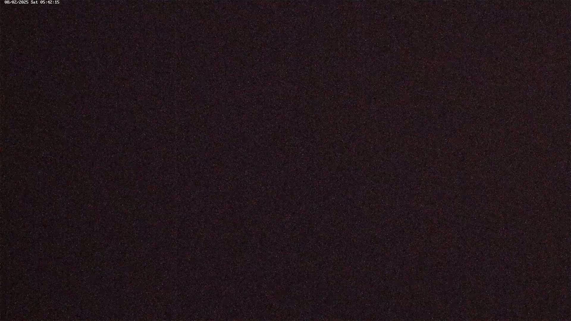 The image shows a dark, uniformly textured surface under nighttime conditions.