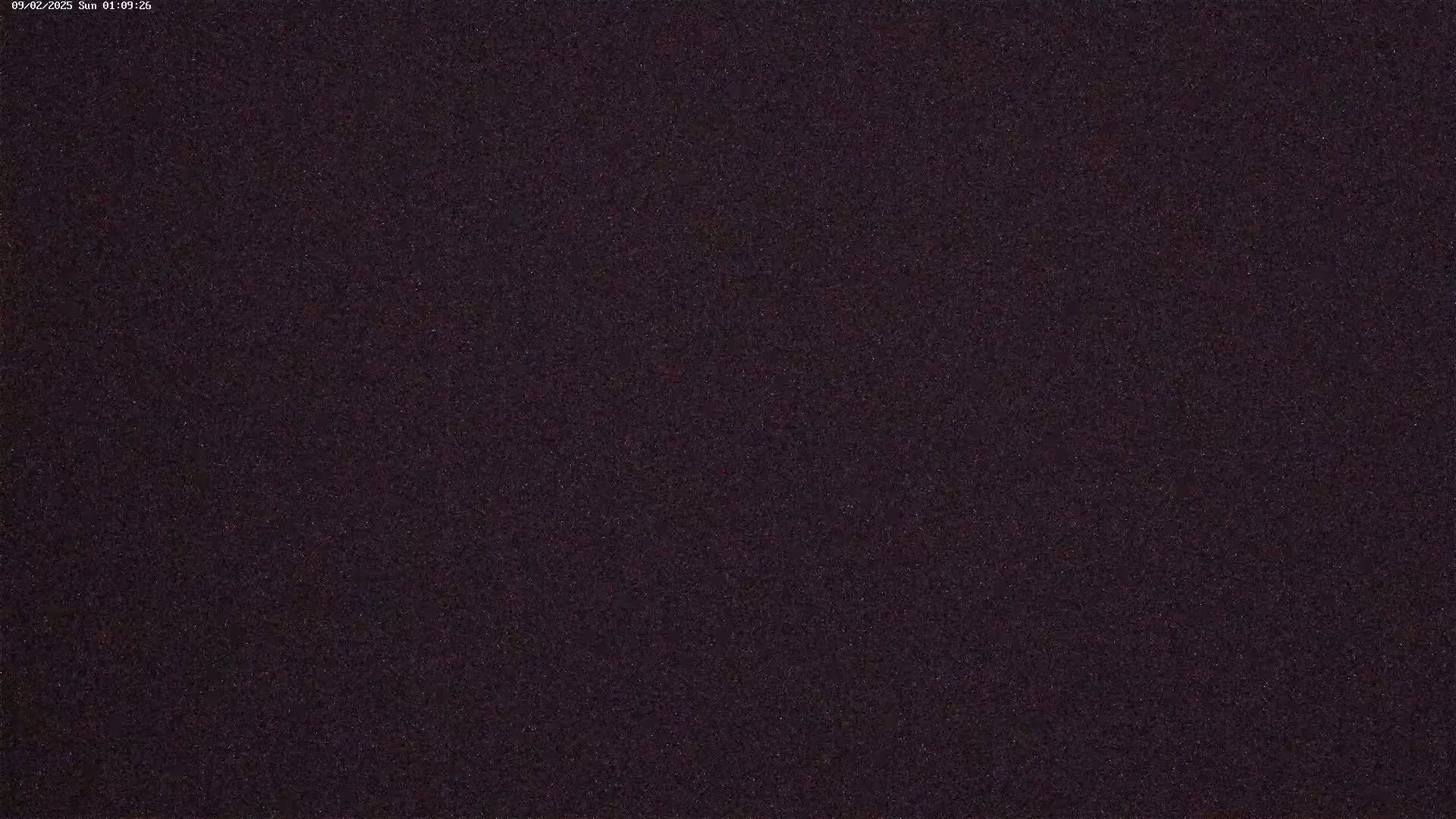 The image shows a dark, uniformly textured surface.