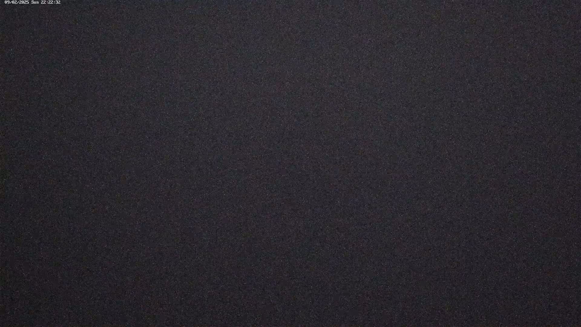 A dark gray, grainy surface is visible.