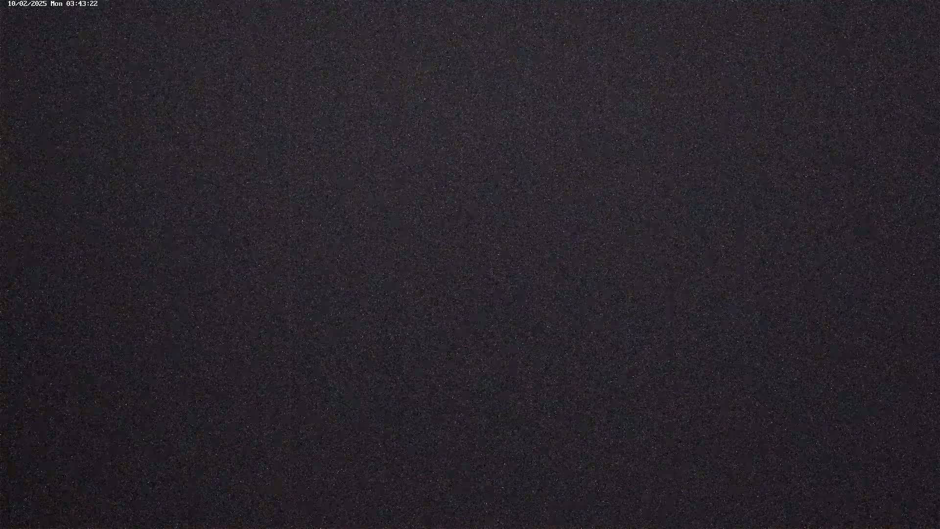 A dark, grainy surface fills the entire image.