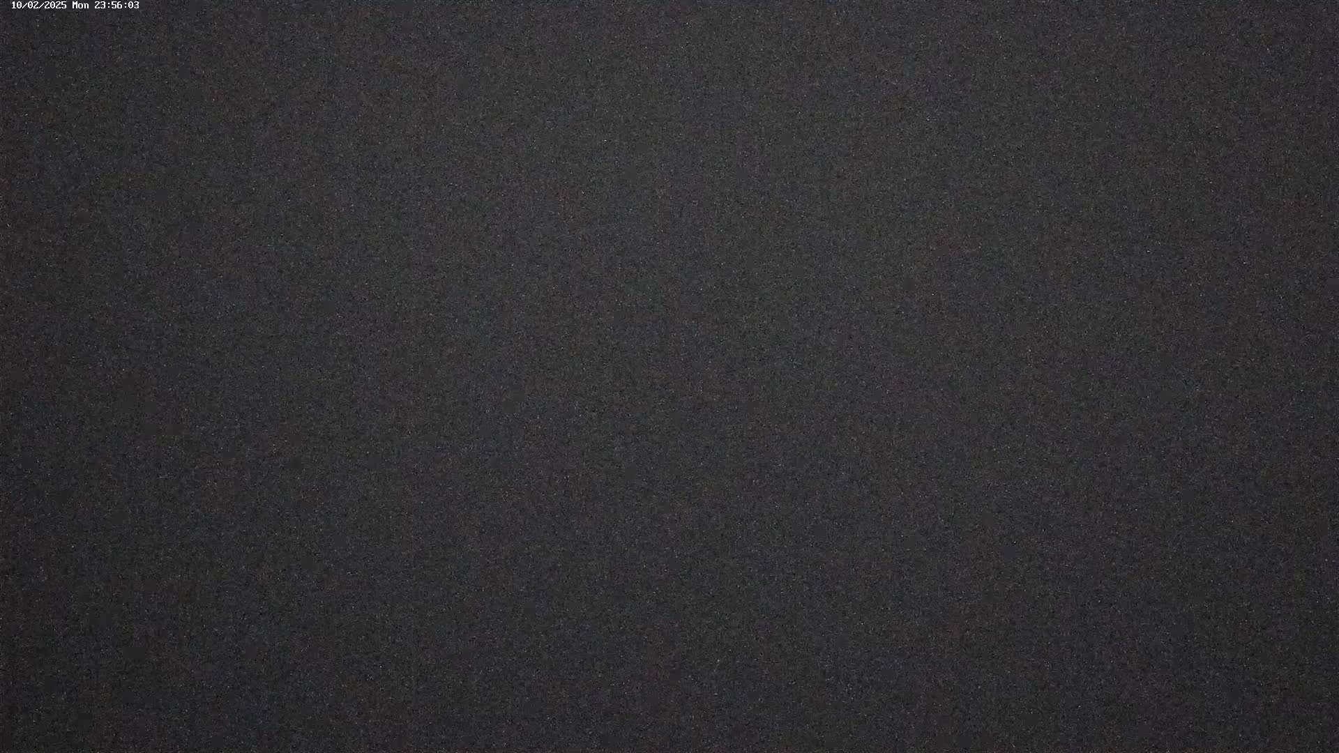 A dark gray, grainy surface fills the entire image.