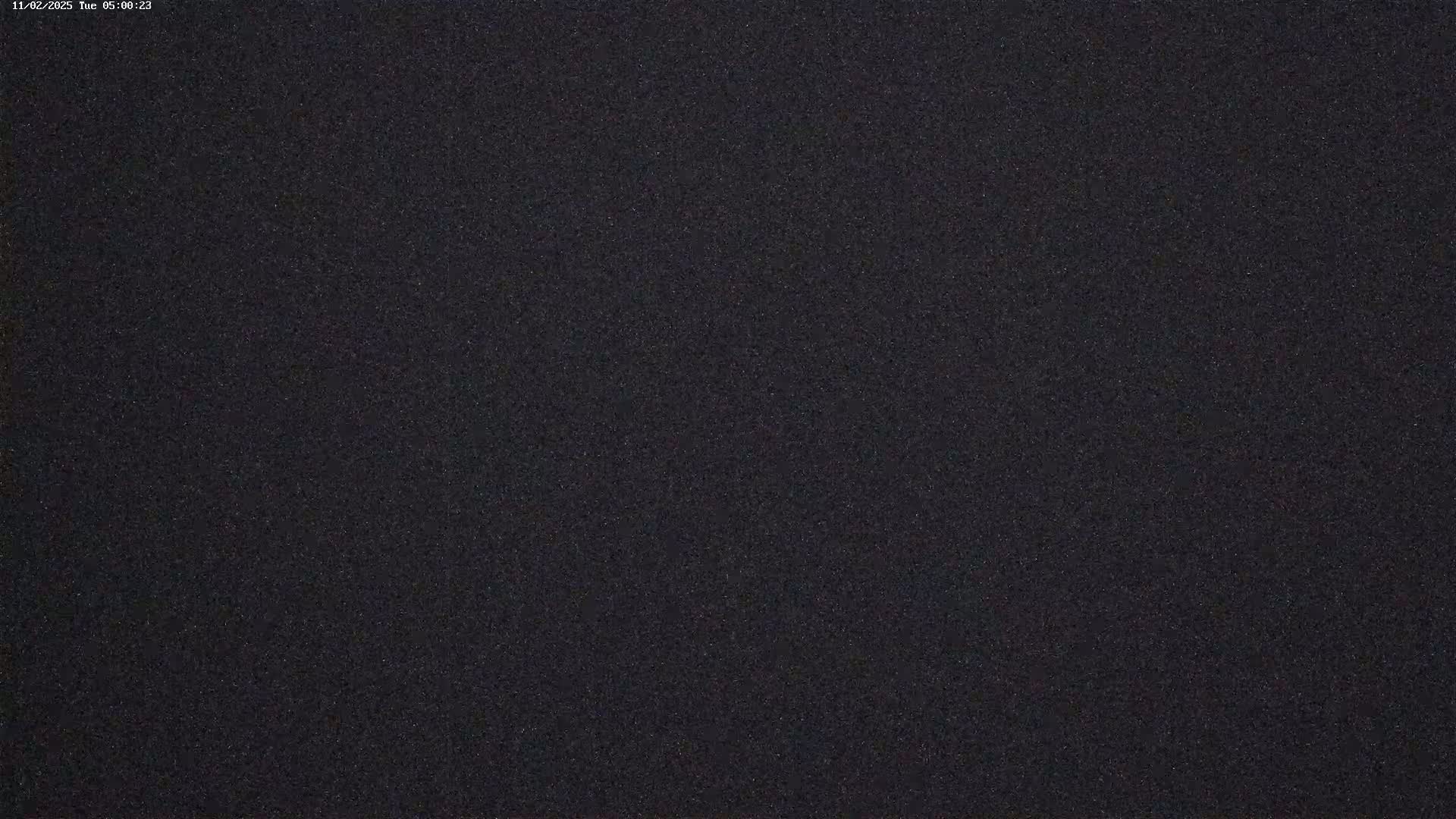 The image shows a dark, grainy surface under nighttime conditions.