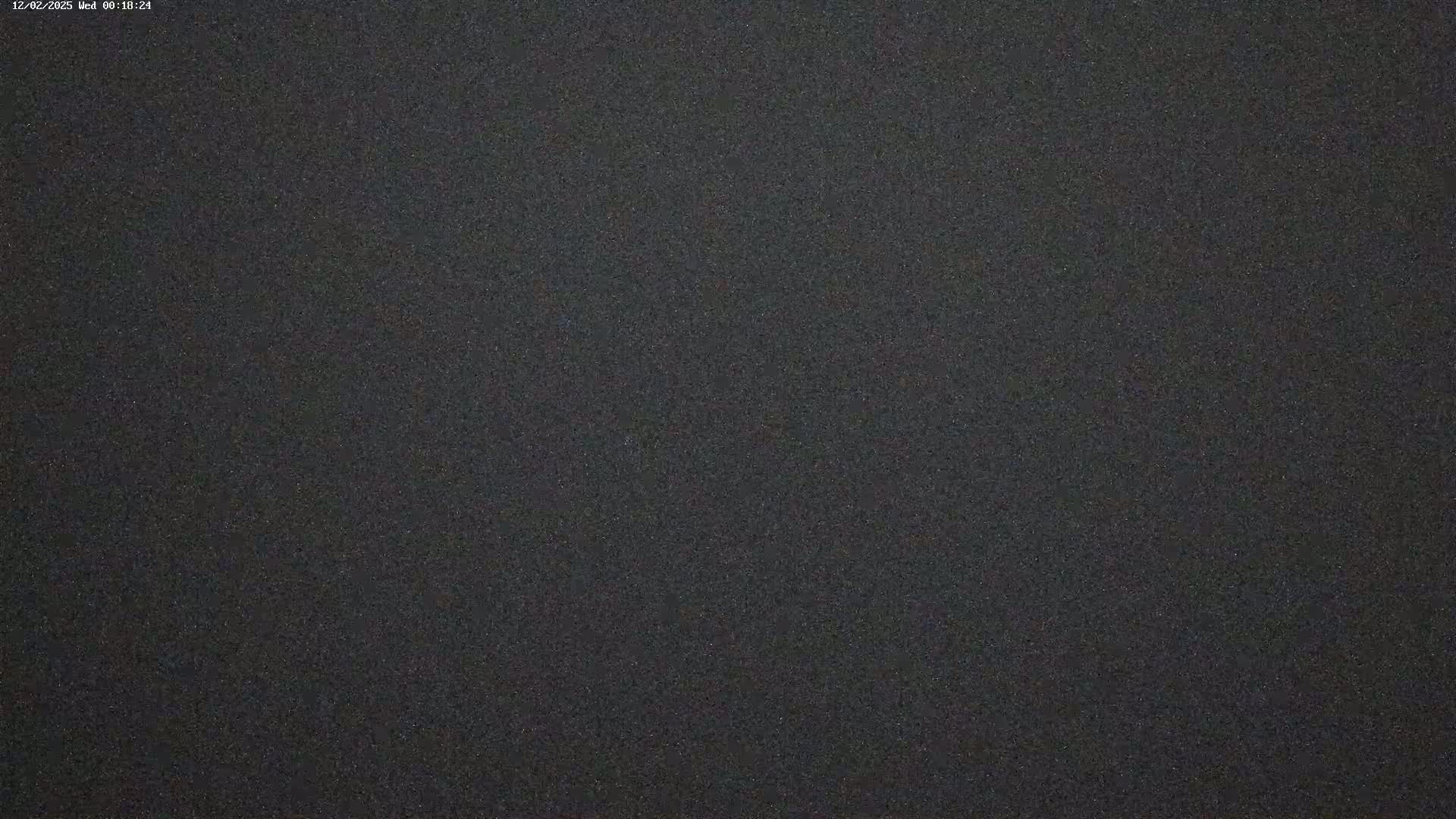 A dark gray, slightly textured surface fills the entire image.