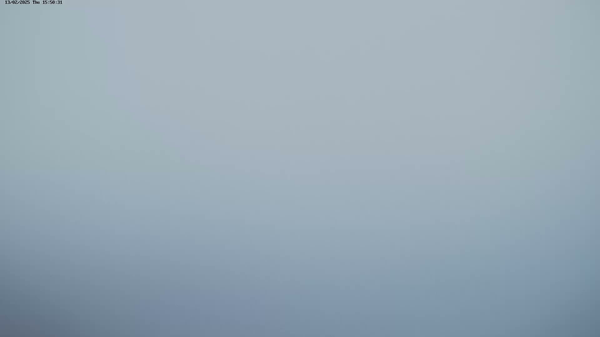 A solid, light-grey background fills the image.