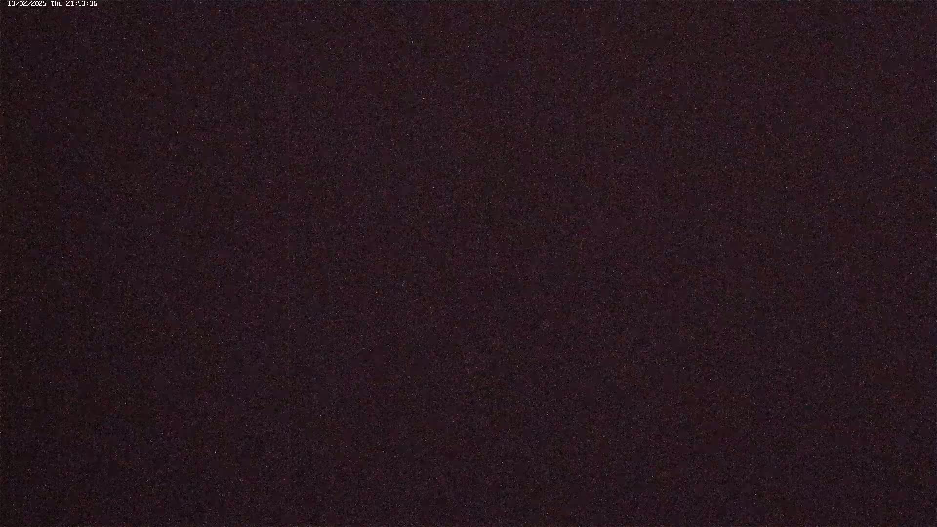The image is a dark, uniformly textured surface, possibly a dark-colored wall or fabric.