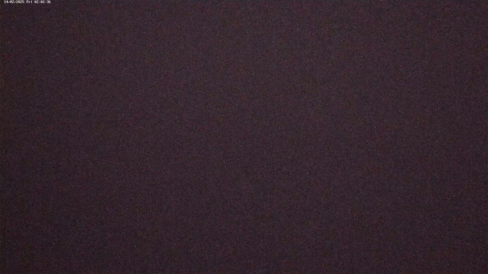A dark purple, grainy surface fills the entire image.