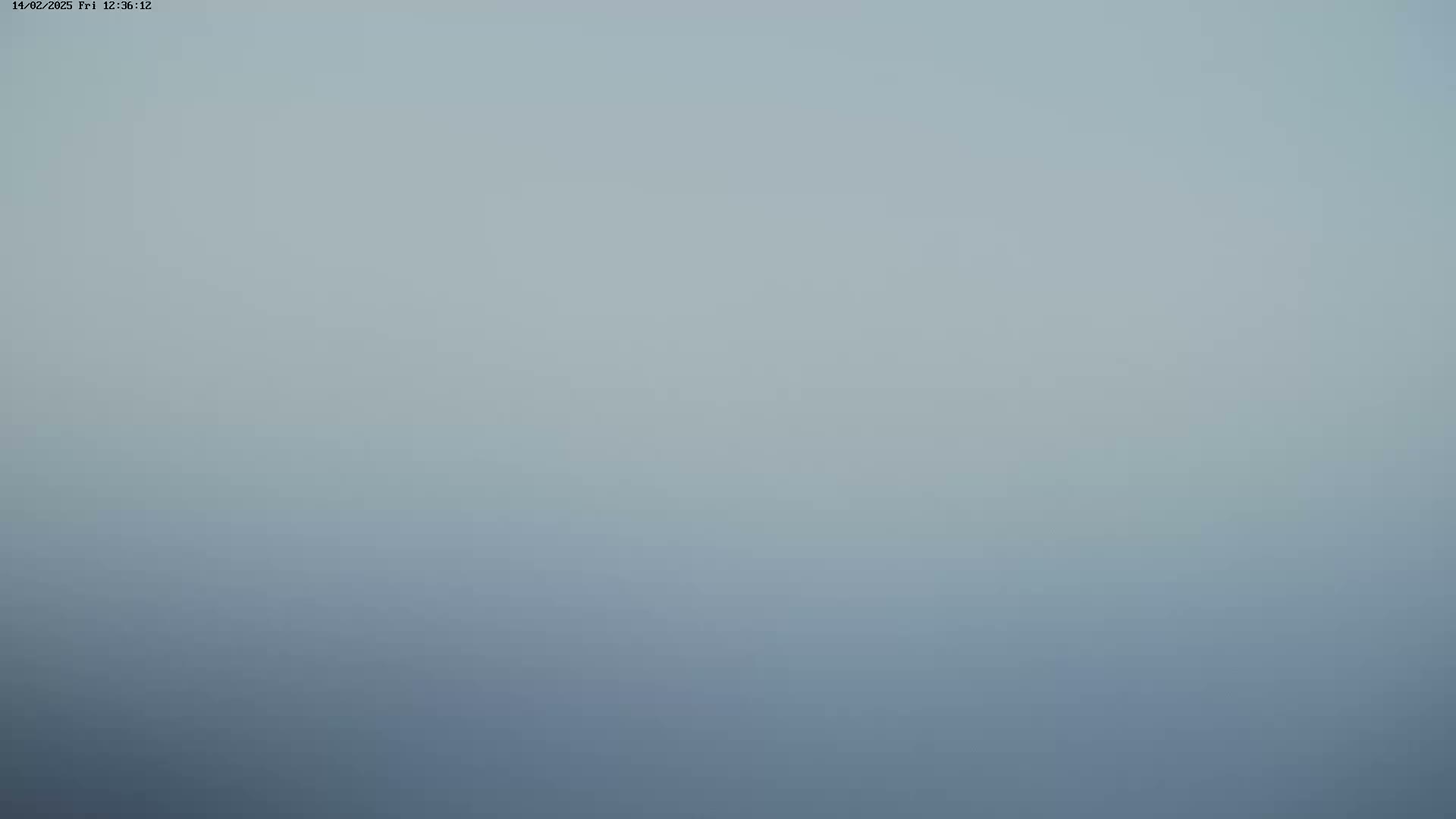 The image shows a solid, light-grey-blue background under foggy or hazy conditions.