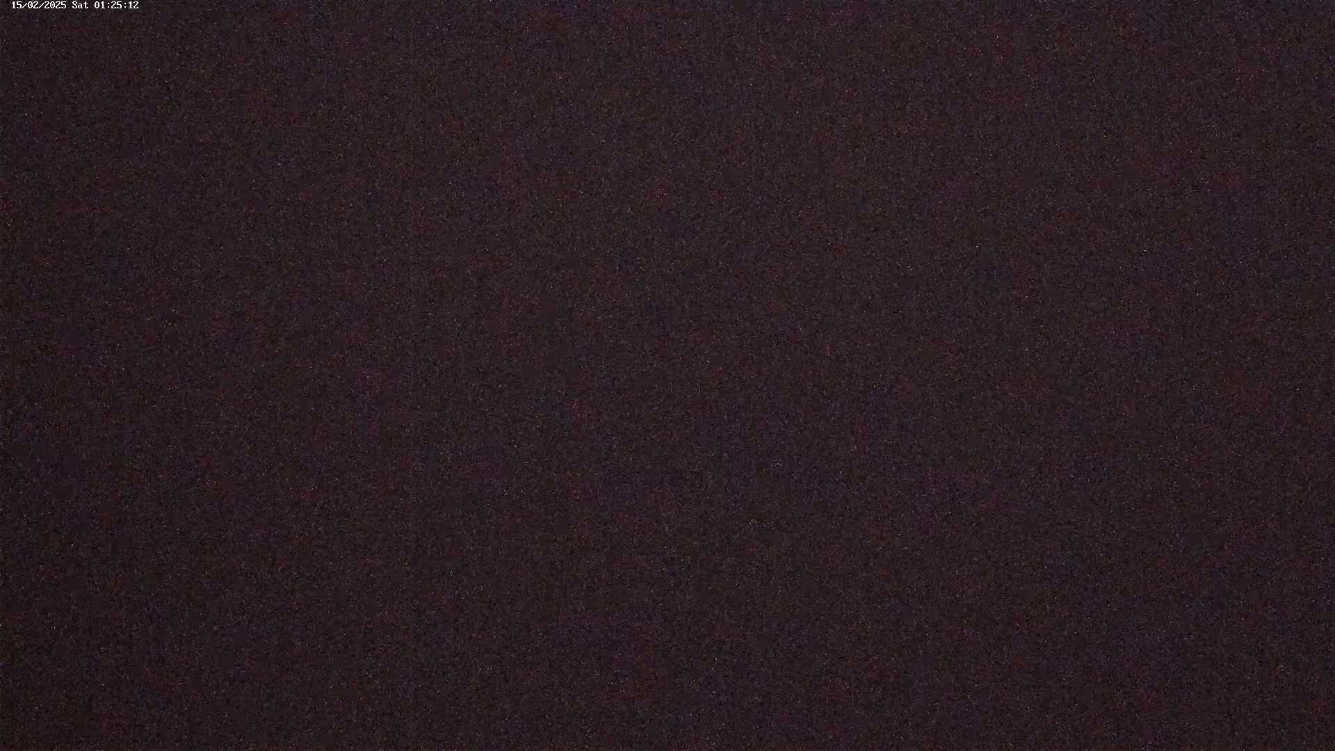 A dark, grainy image shows a mostly uniform dark purple-brown texture.