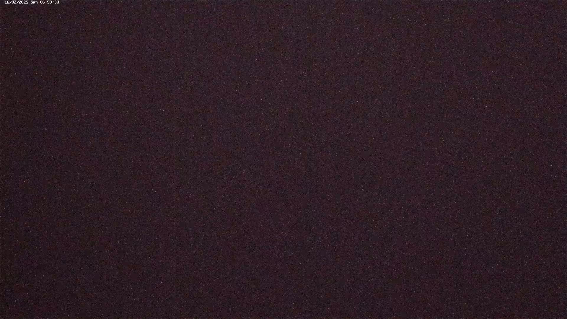 A dark purplish-brown, uniformly textured surface is shown.