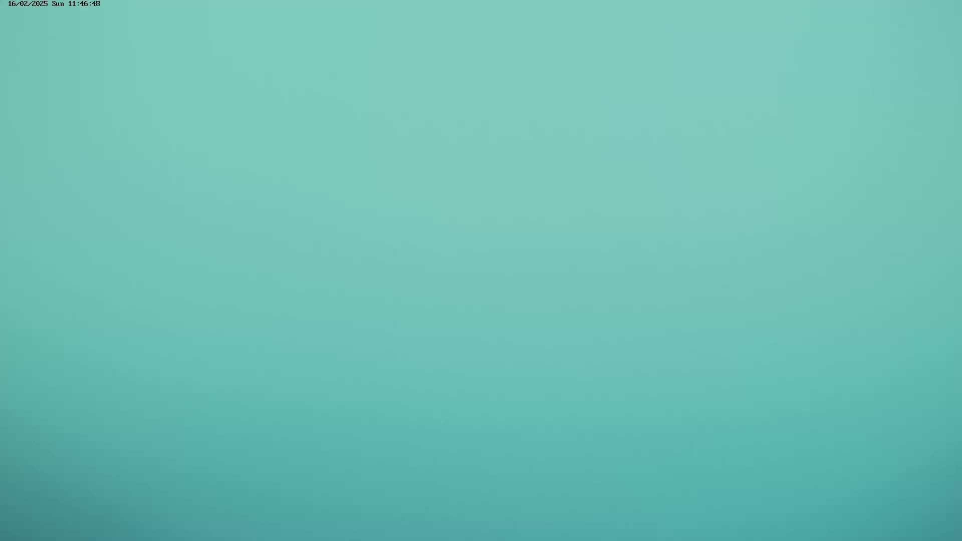 A solid, light teal background.