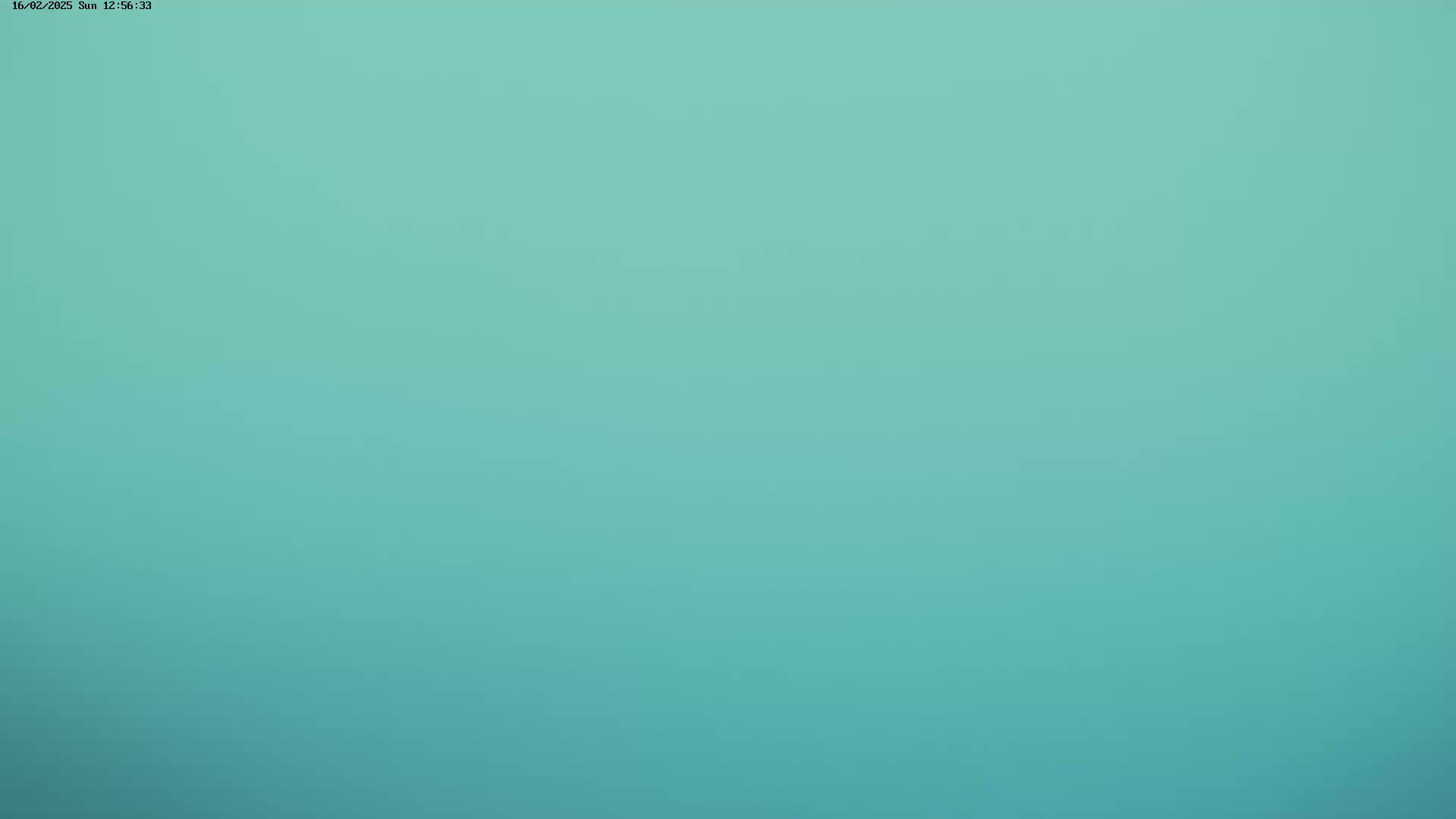 The image shows a solid, light teal background.