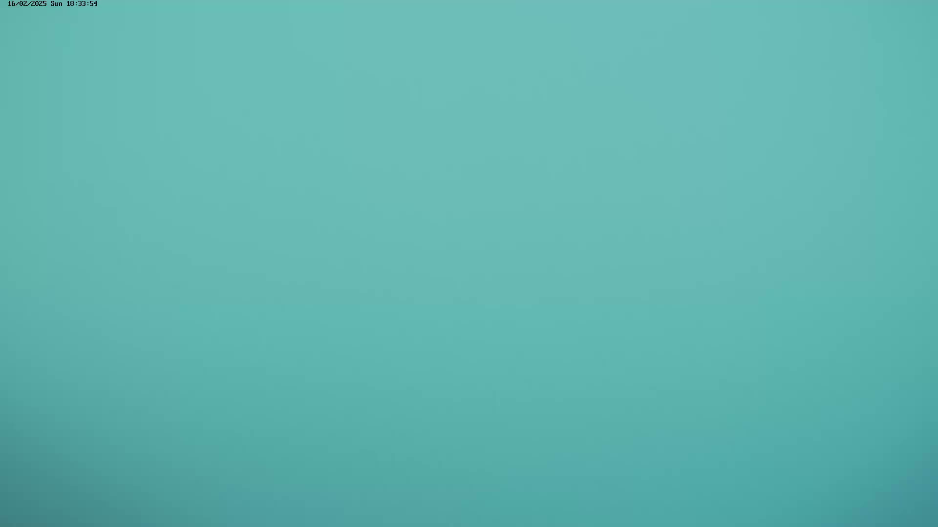 A solid, light teal-colored background is shown.