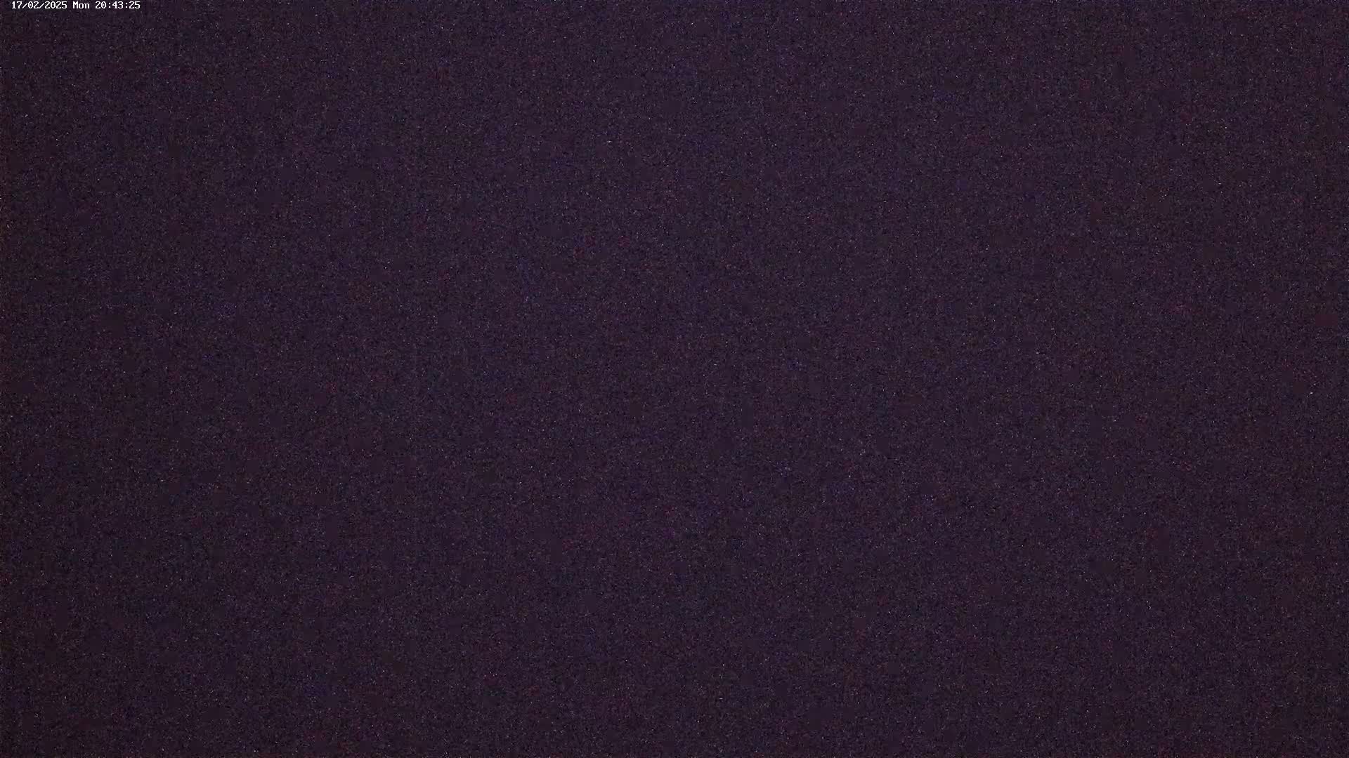 The image shows a dark purple, textured surface.