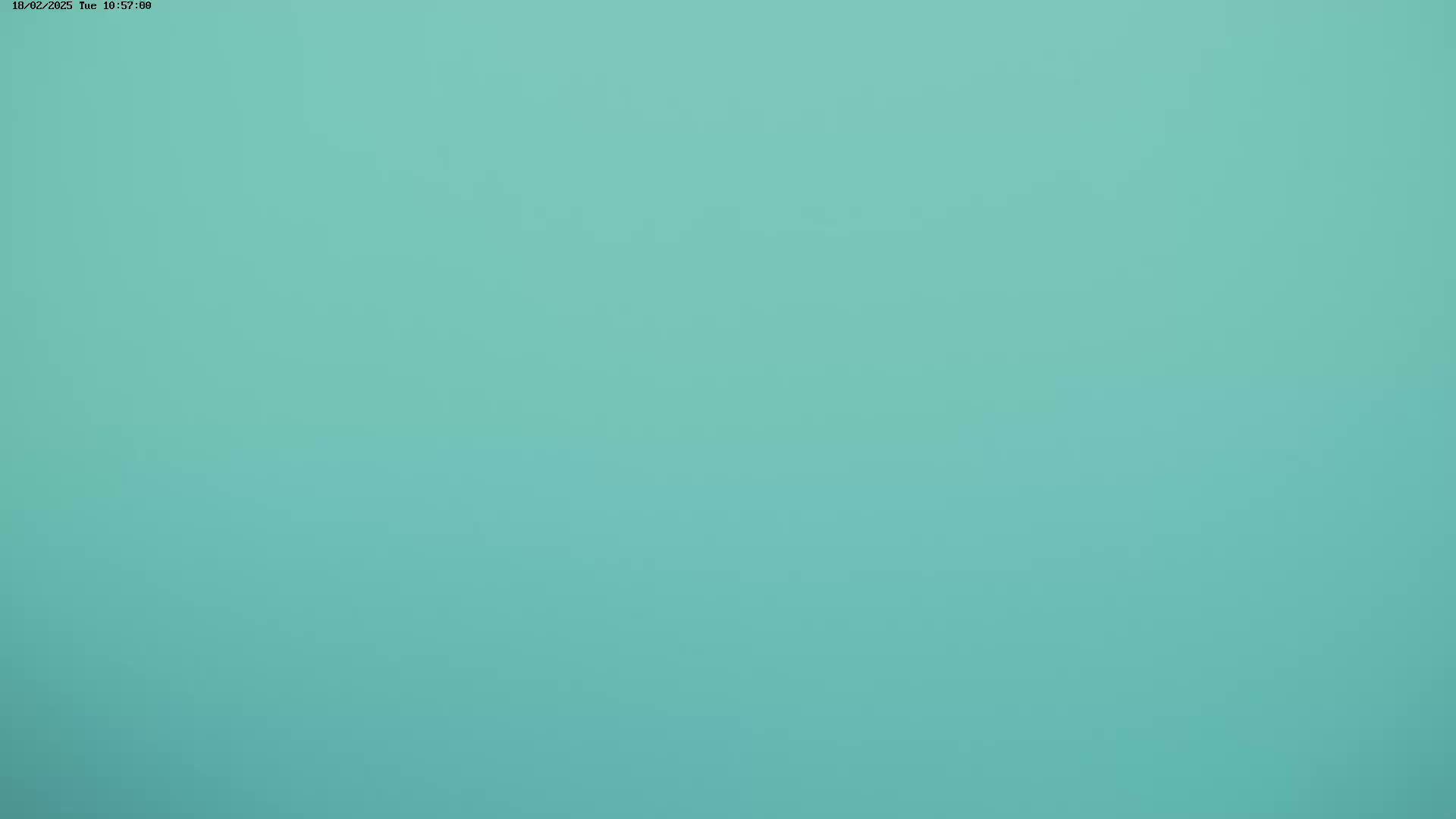The image shows a solid, light teal background.