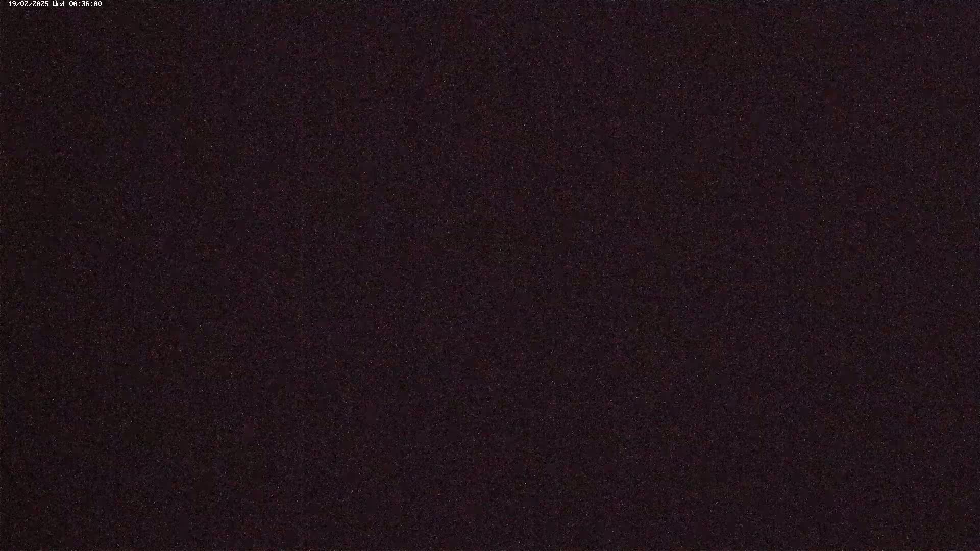 A dark, grainy image shows a mostly uniform, dark purplish-brown field.