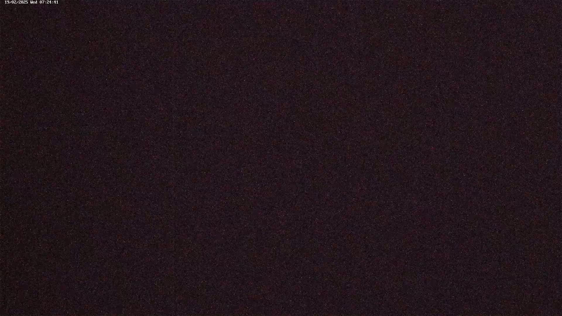 The image shows a dark, uniformly textured surface.