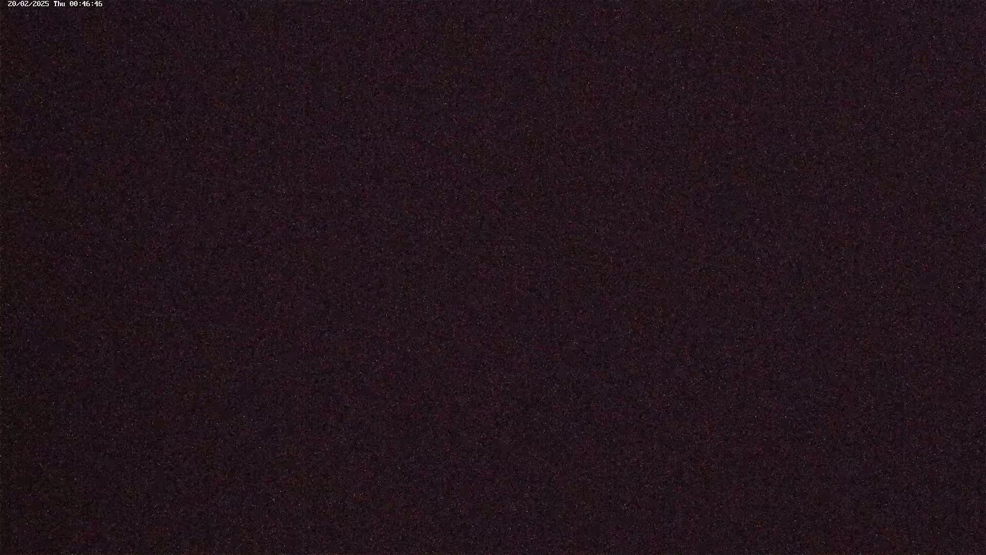 The image shows a dark, uniformly textured surface.