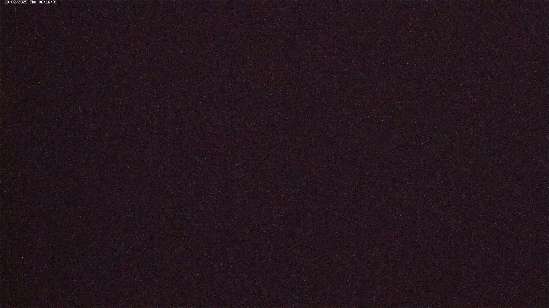 The image shows a dark, uniformly textured surface.