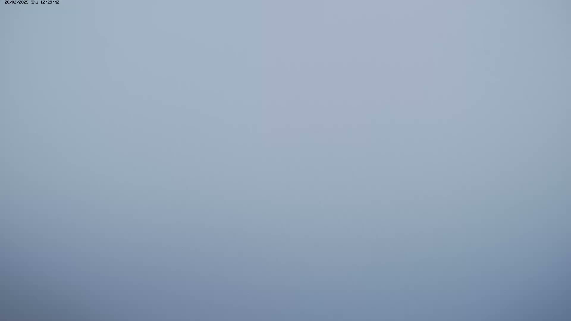 A uniformly light gray, hazy sky is visible.
