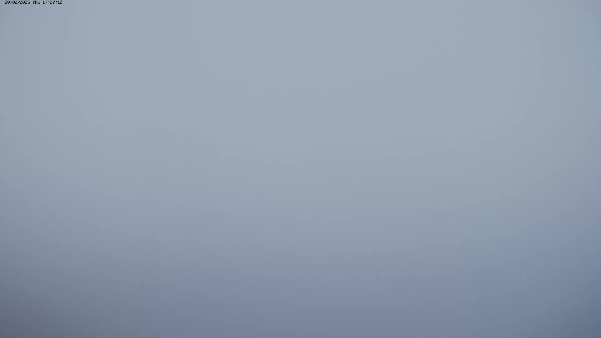 A uniformly light gray sky is shown, indicative of foggy or overcast conditions.