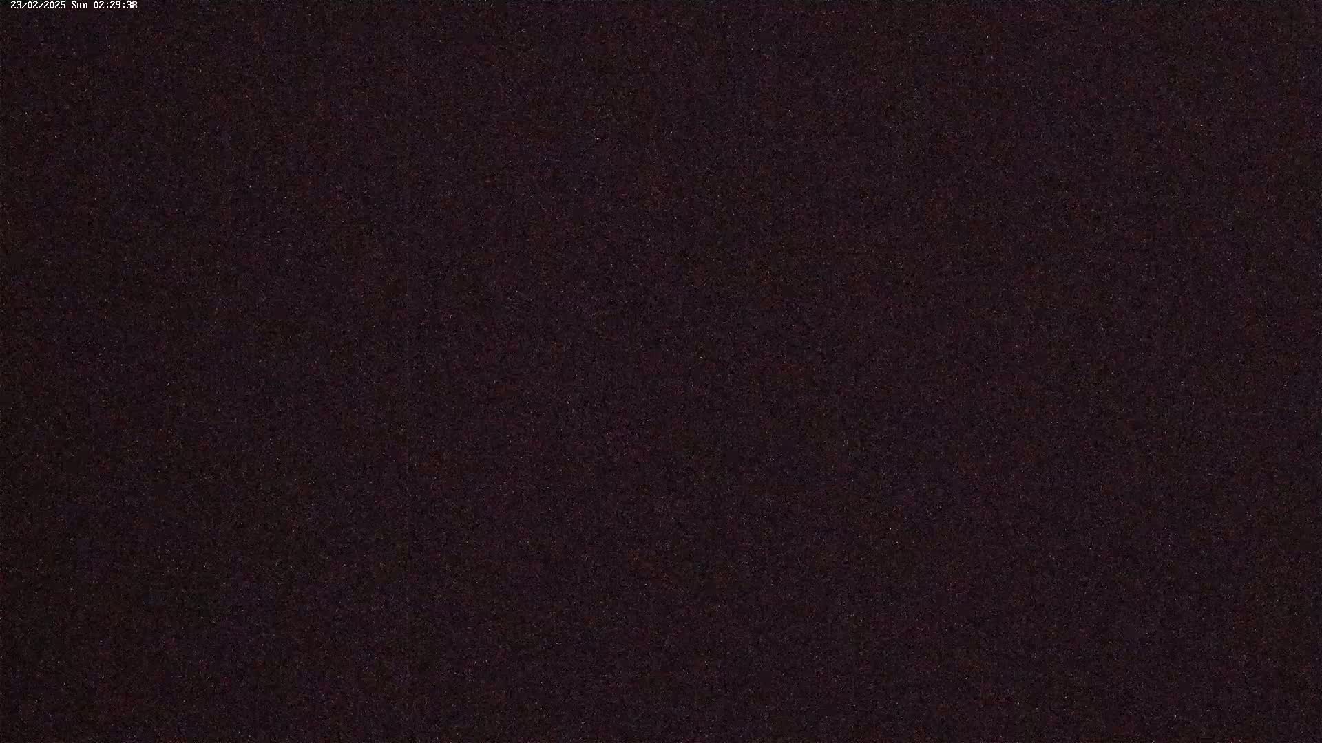 The image shows a dark, uniformly textured surface.