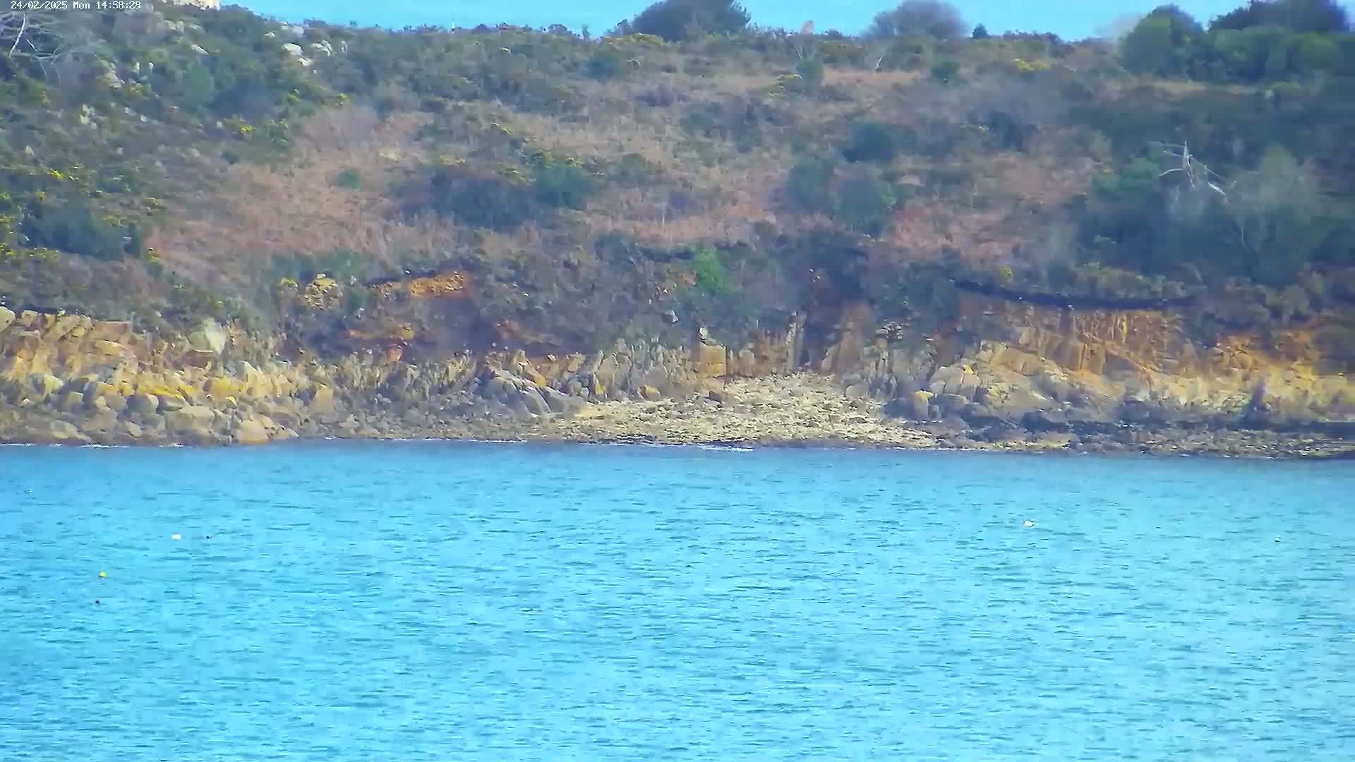 Calm blue water laps against a rocky shoreline, backed by a hillside covered in low-lying vegetation under a clear sky.