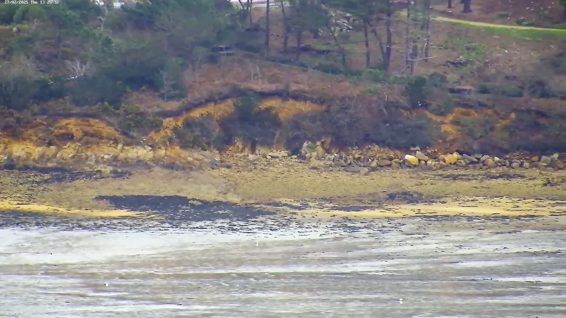 A rocky shoreline with a low, sandy beach stretches out to a calm, shallow body of water under an overcast sky.