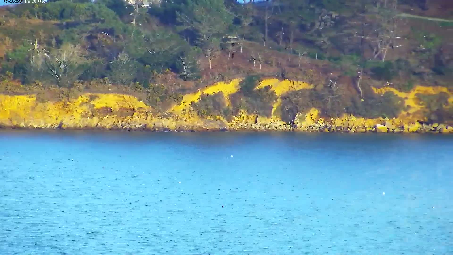 A calm, blue body of water stretches out in front of a rocky shoreline with yellow and brown vegetation covering the hillside.