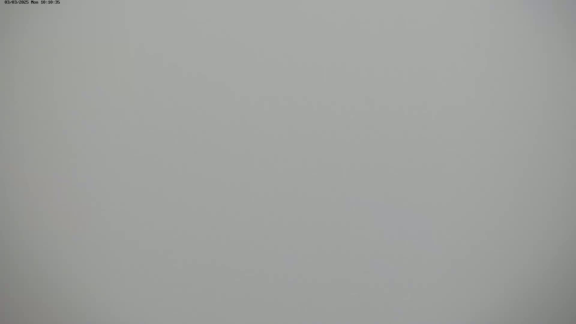 The image shows a uniformly light gray, featureless expanse under foggy conditions.