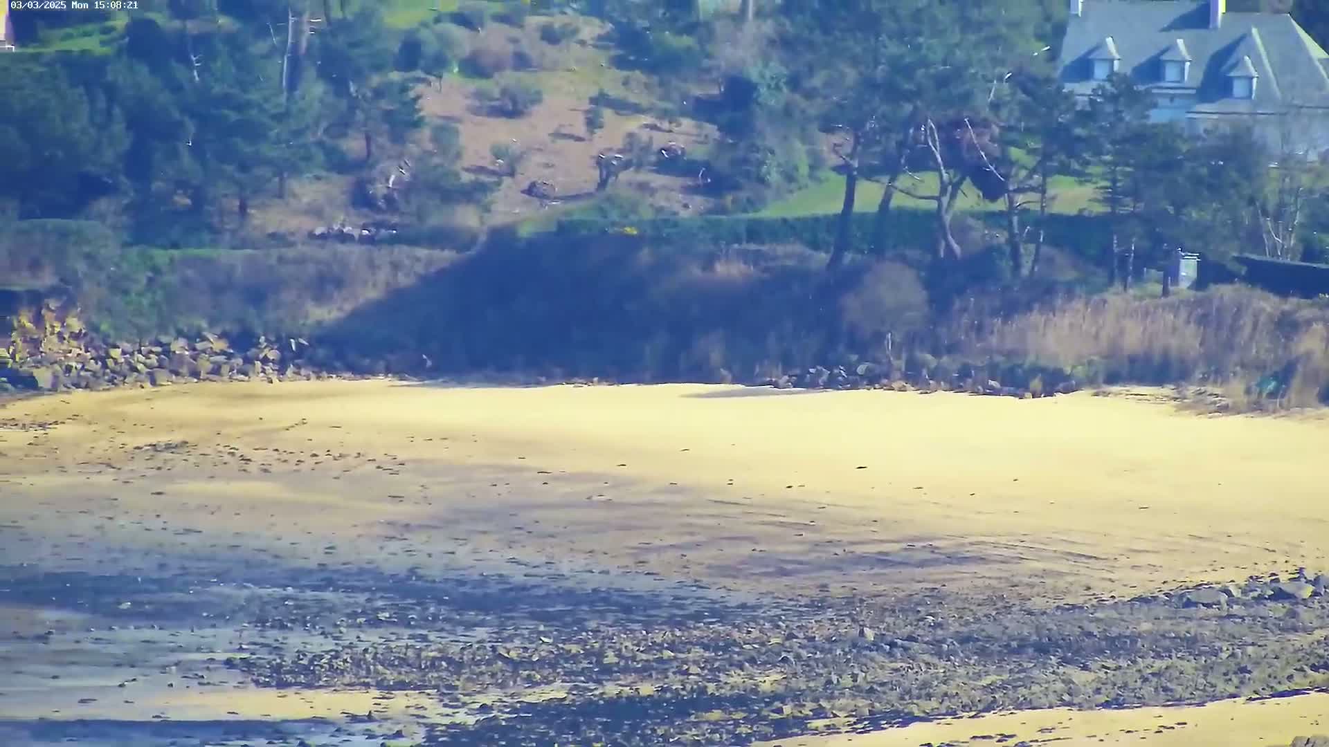 A sandy beach stretches out to a rocky shoreline under a bright, sunny sky, backed by a line of trees and a large house.