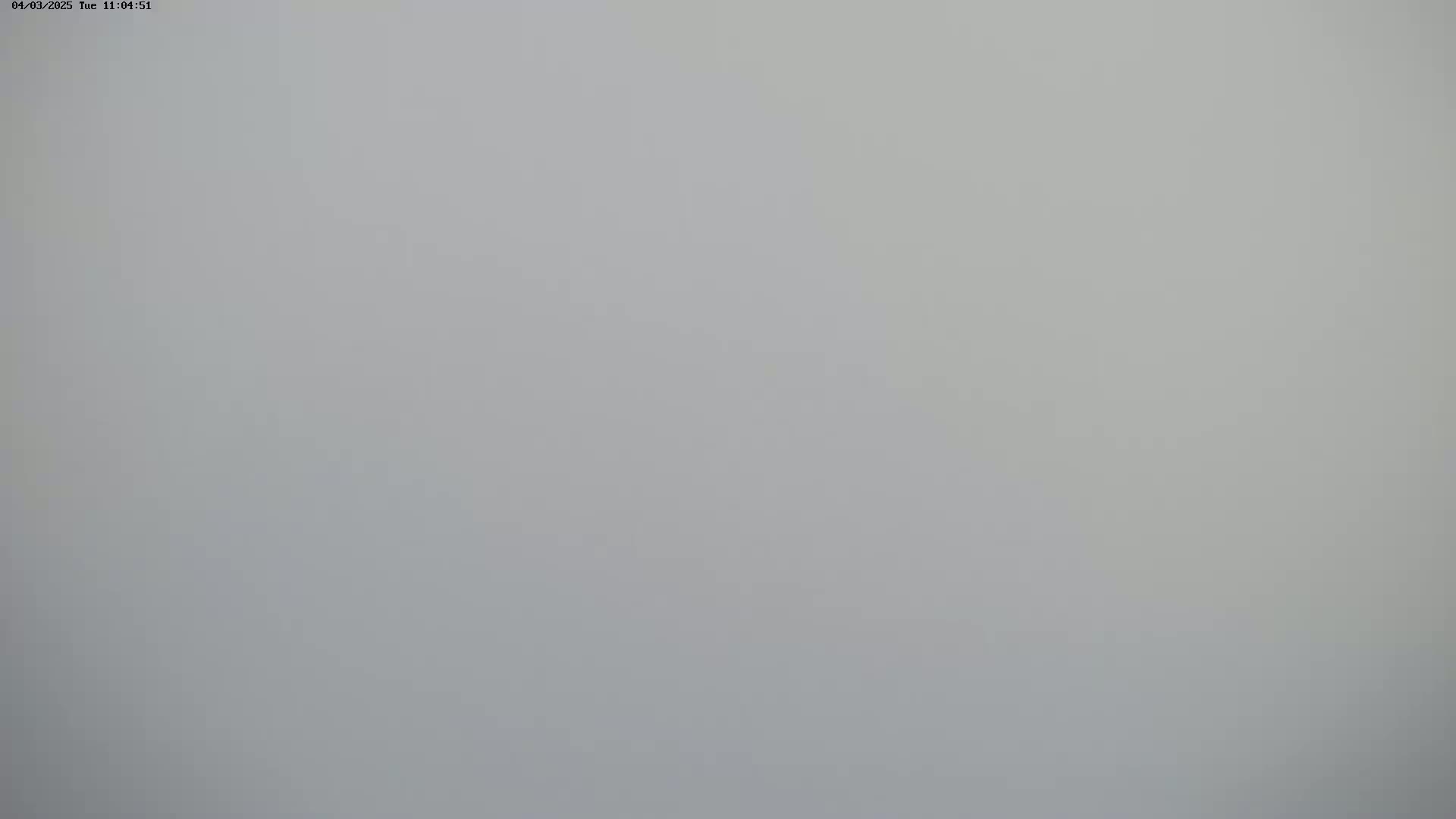 The image shows a uniformly light gray surface.