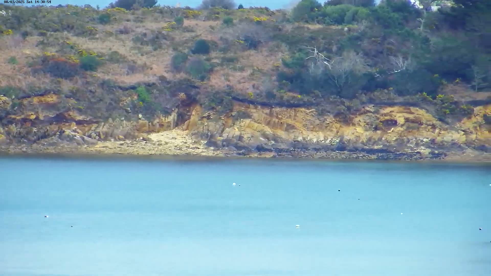 A rocky, vegetated shoreline meets a calm, light blue body of water.