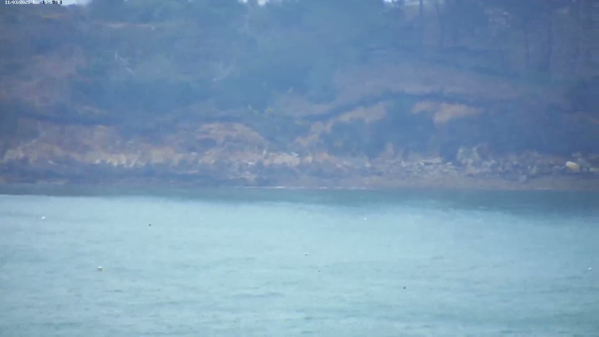 A hazy view shows calm, light-blue water extending to a distant, indistinct shoreline covered in muted green and brown vegetation.