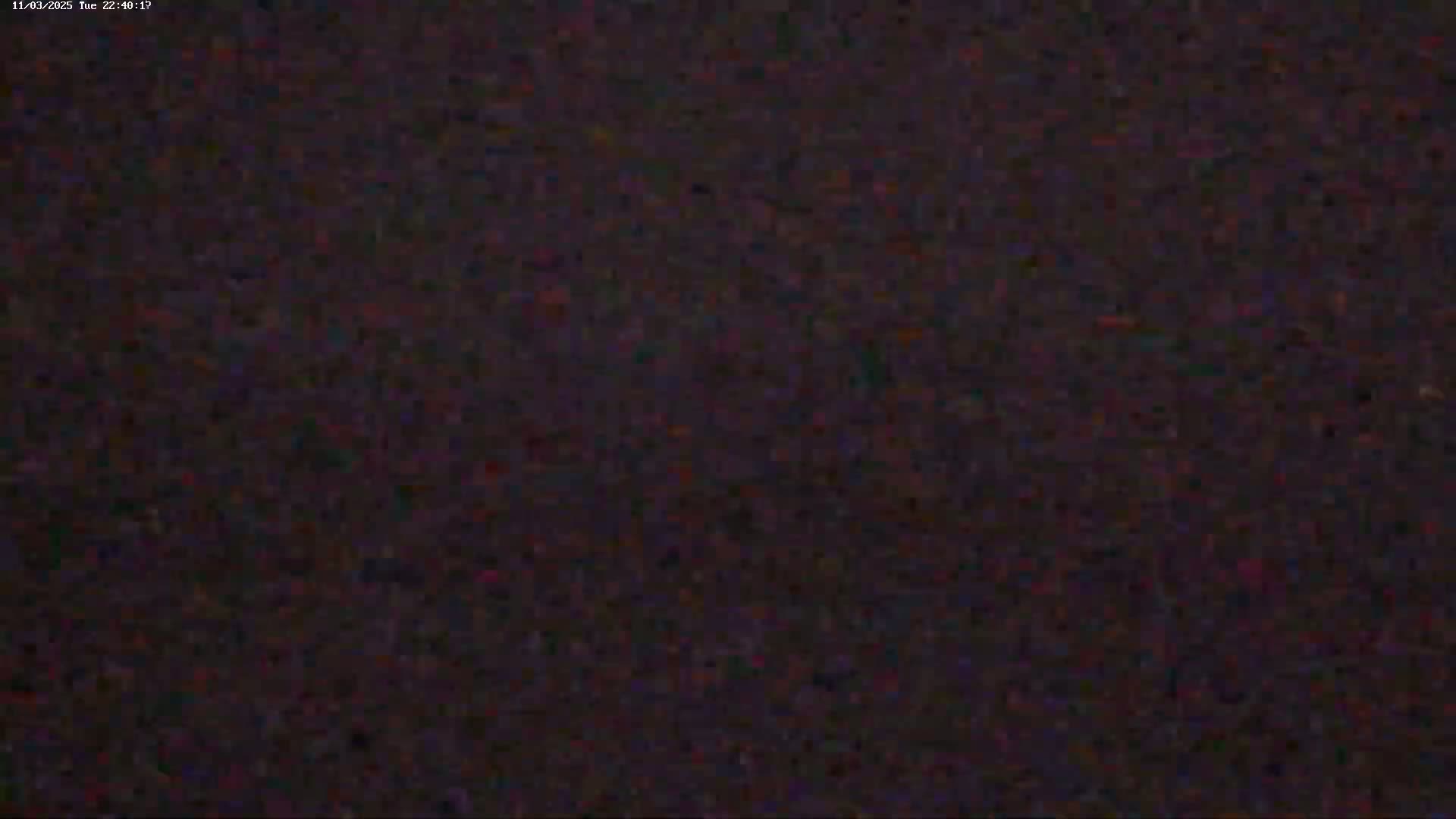 The image shows a dark, grainy surface, possibly at night.