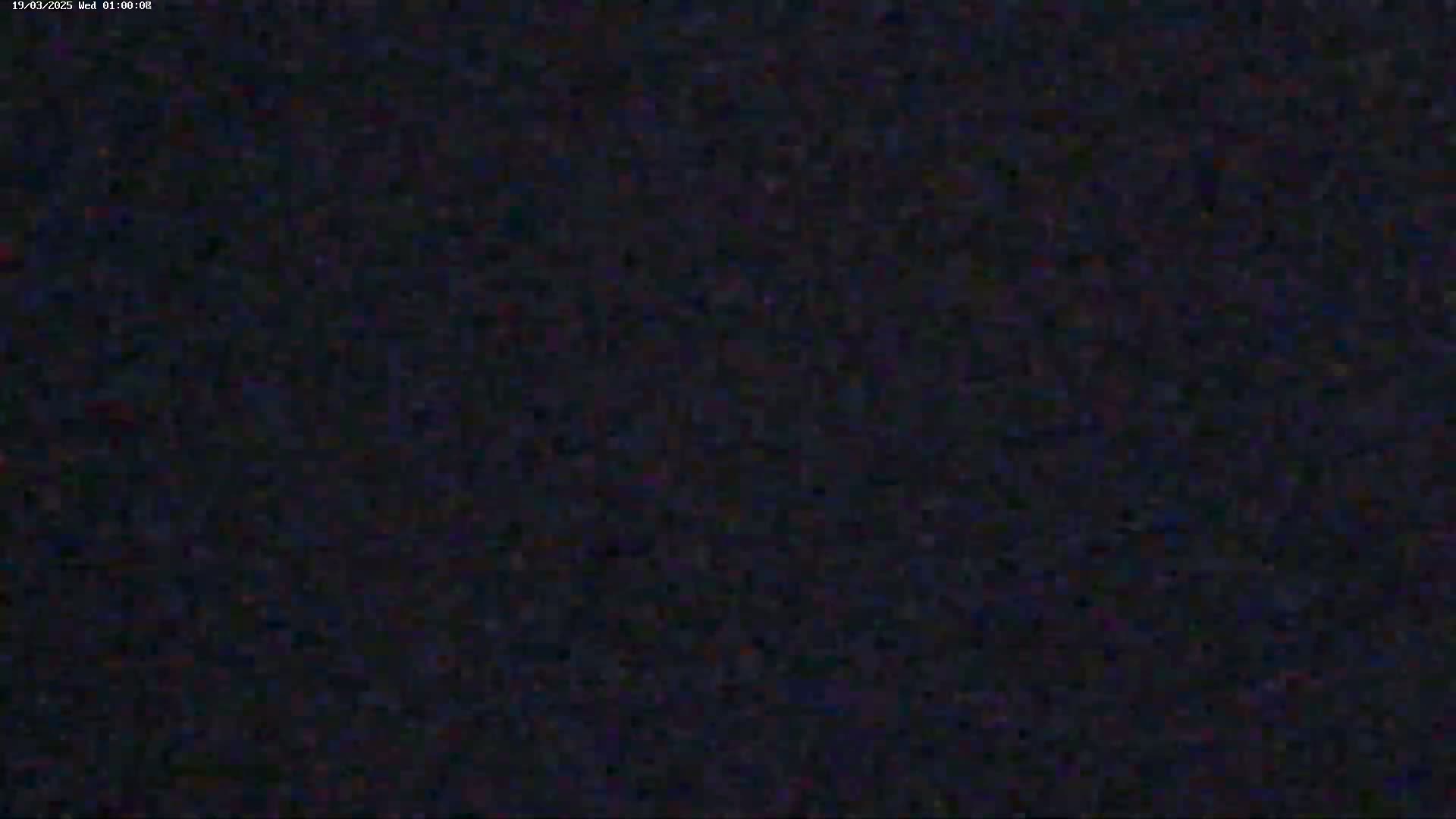 The image shows a dark, grainy, and mostly uniform texture.