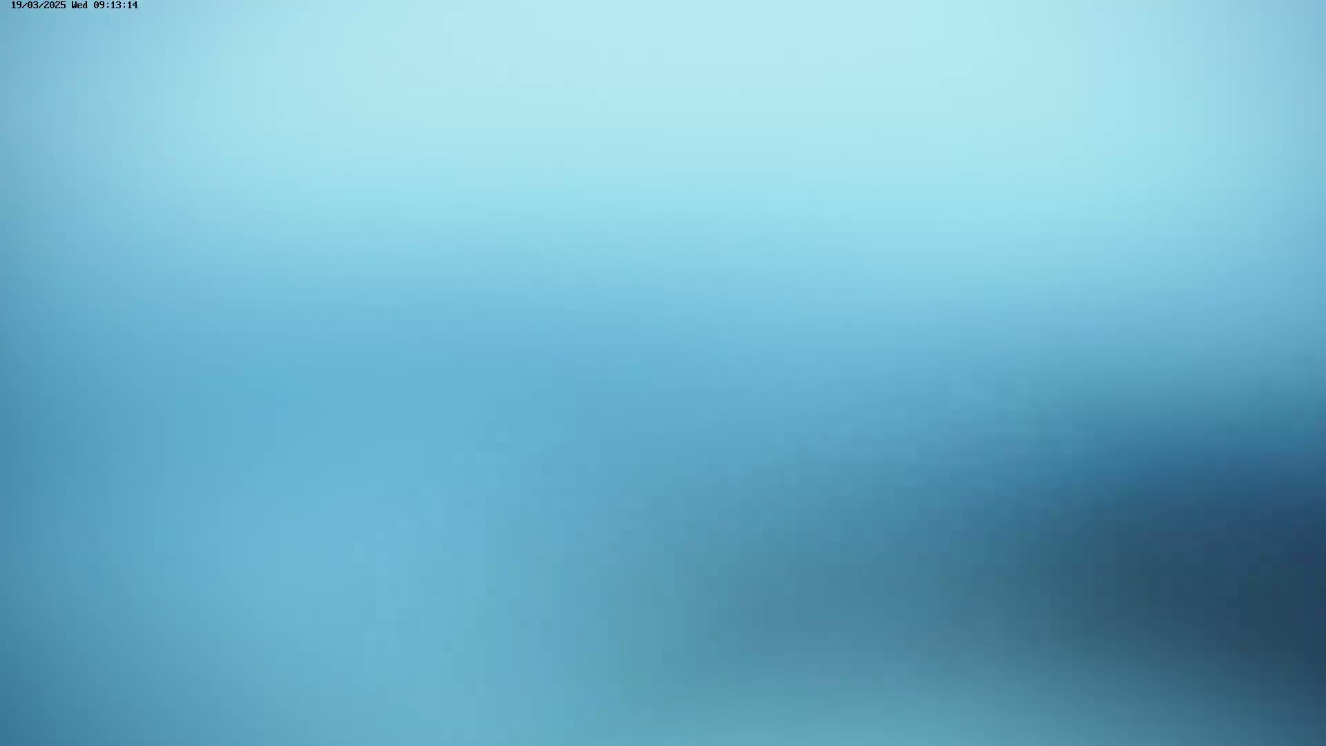 A blurry, solid light blue background gradually darkens towards the bottom.