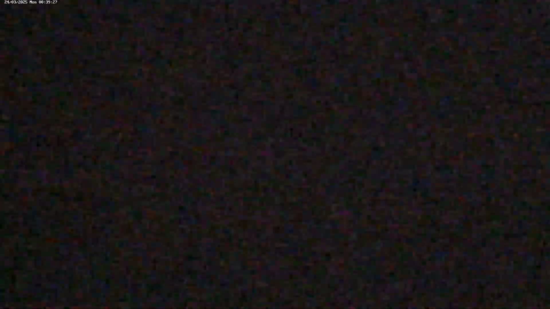 The image shows a field of static noise.