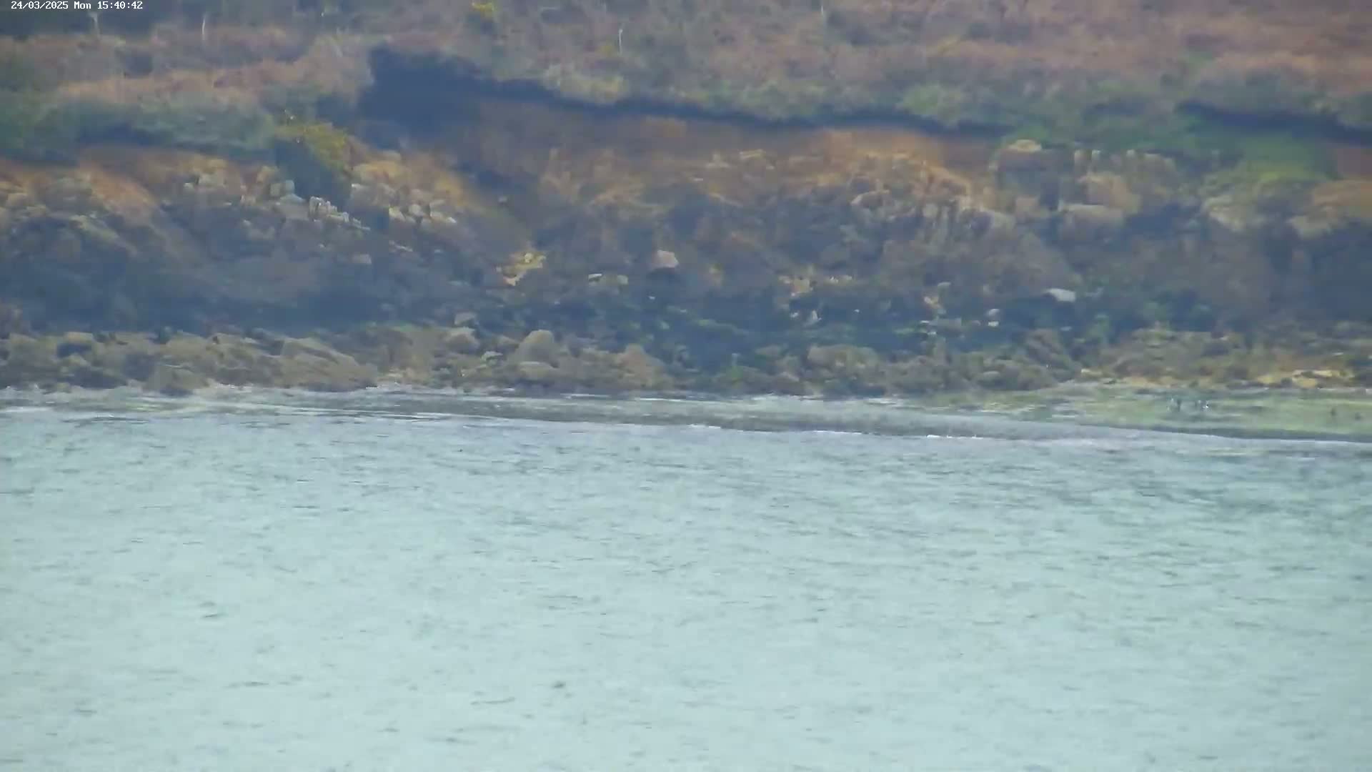 A rocky shoreline meets a calm, light-blue ocean under an overcast sky.