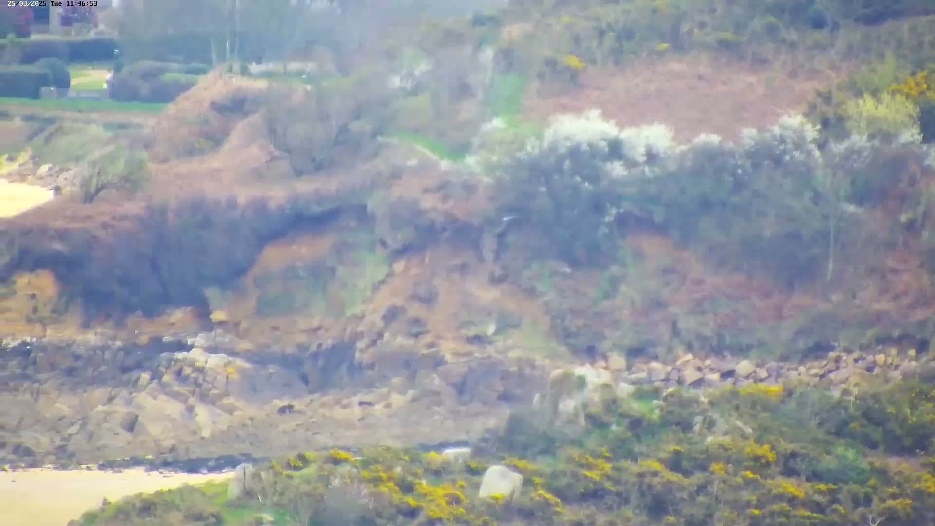 A rocky, vegetated hillside slopes down to a sandy beach under a hazy sky.