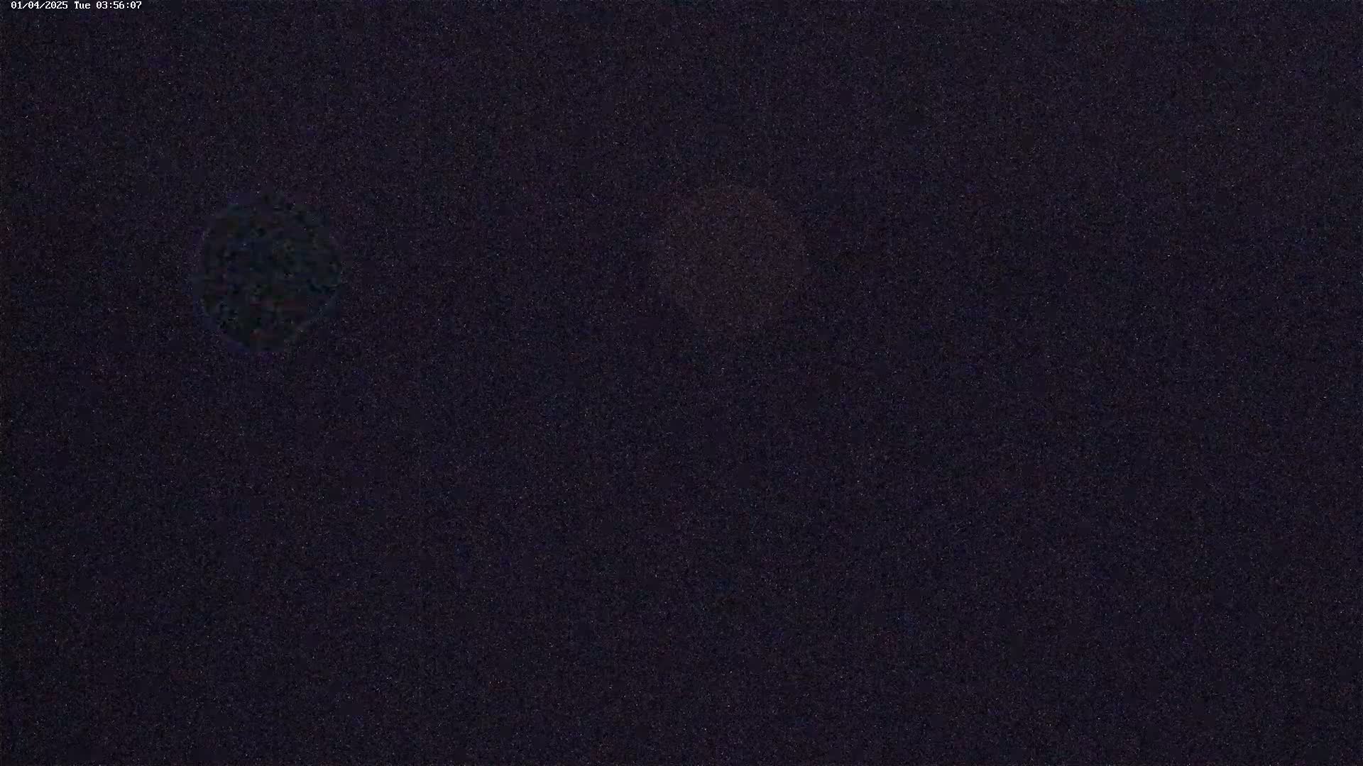 A dark, possibly nighttime, image shows two blurry, indistinct shapes against a grainy, dark background.