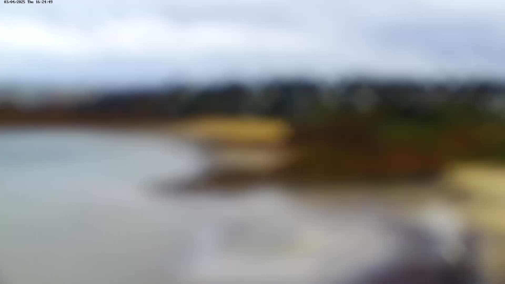 A blurry outdoor image shows a calm body of water next to a shoreline with muted brown and green vegetation under an overcast sky.